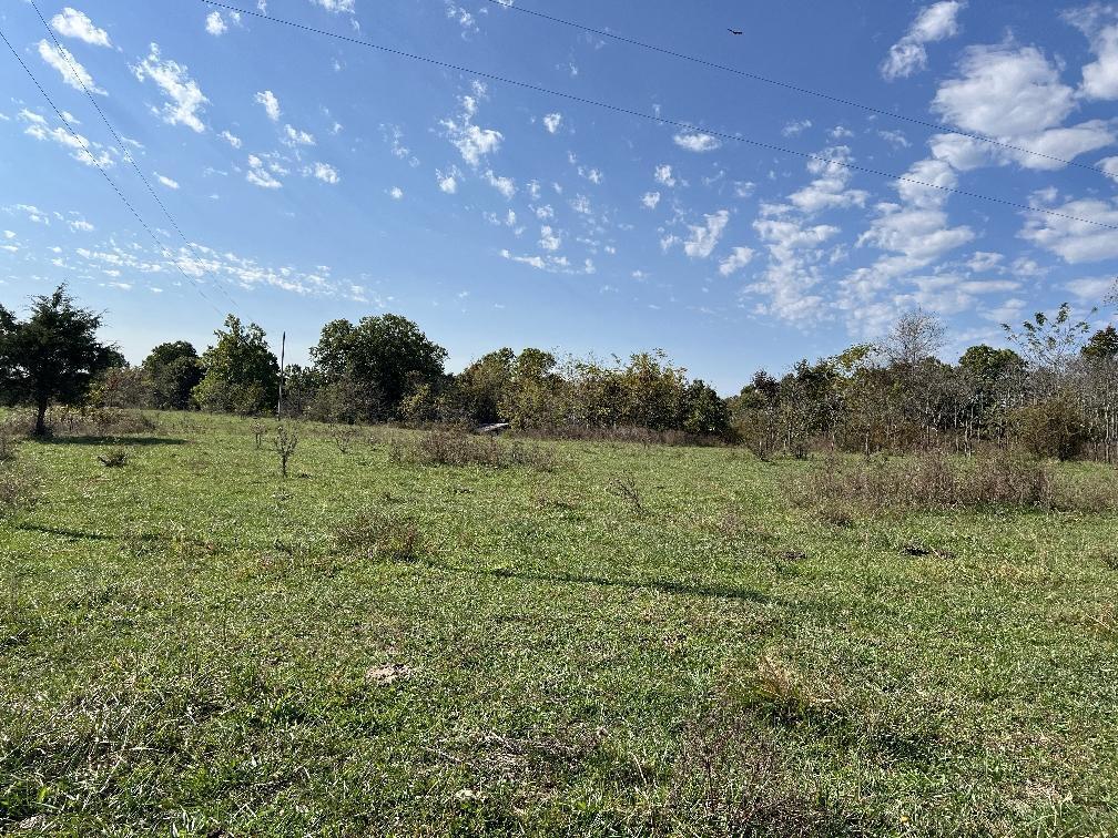 000 Date Drive Property Photo 10