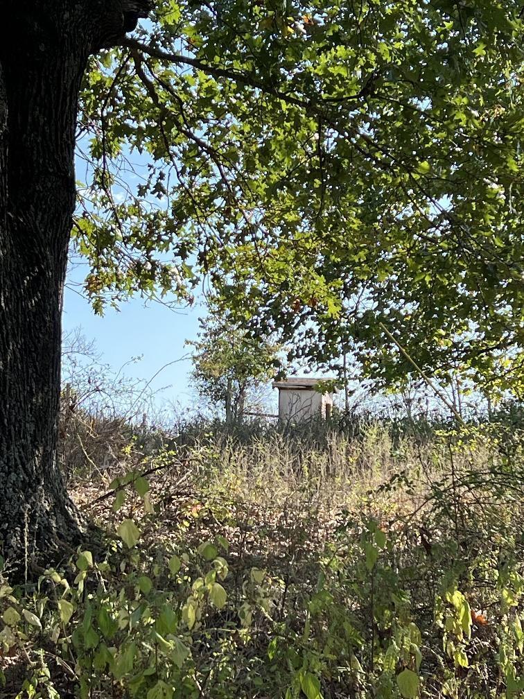 000 Date Drive Property Photo 11