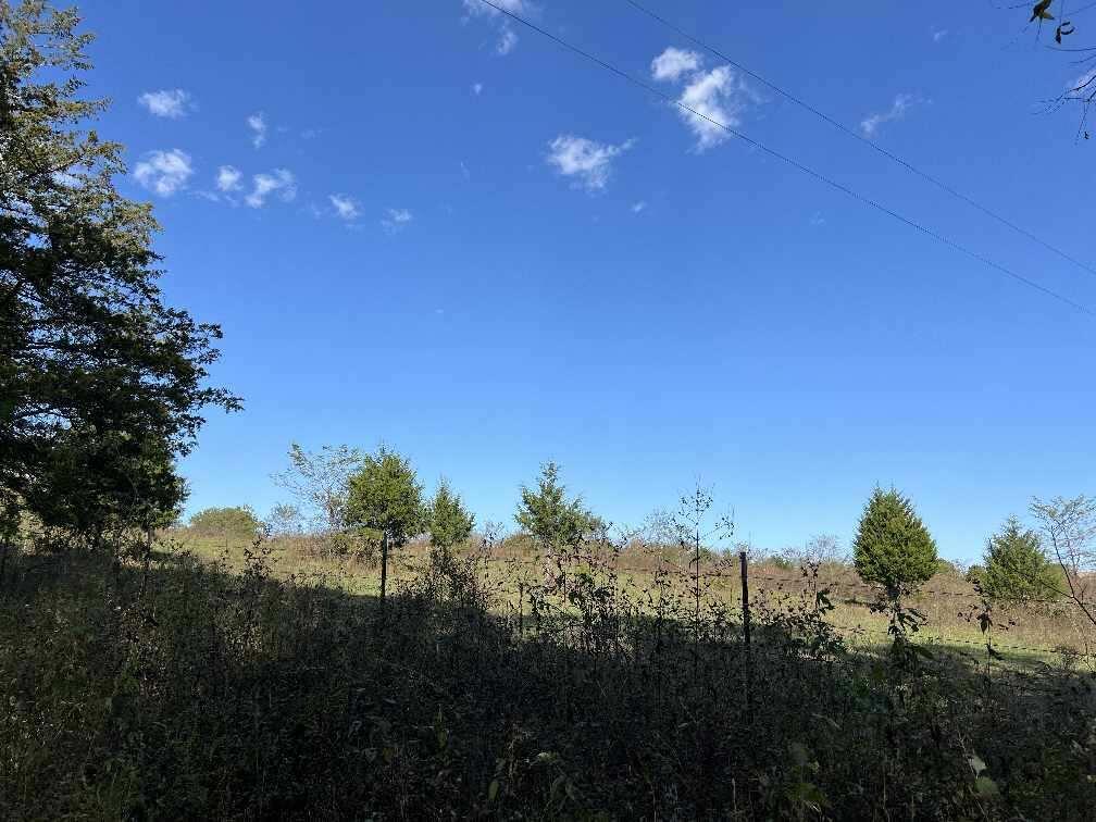 000 Date Drive Property Photo 12