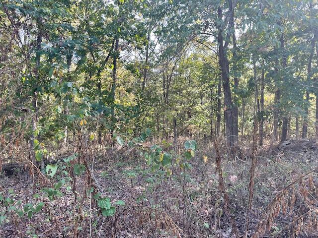 22249 Lake Drive Property Photo 4