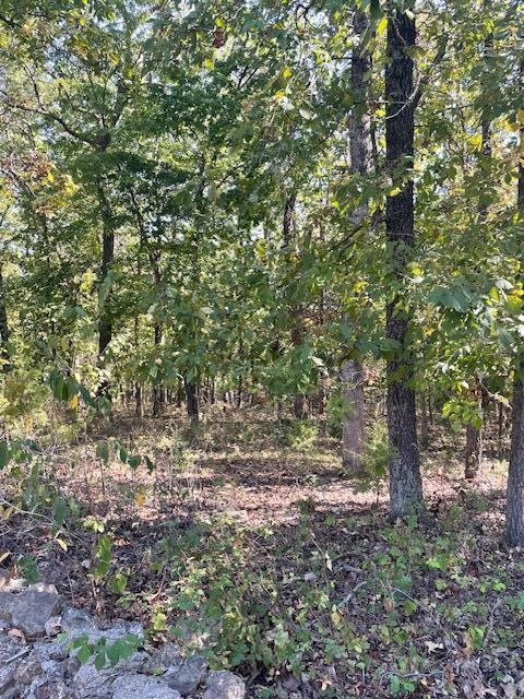 22249 Lake Drive Property Photo 7
