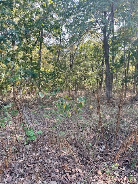 22249 Lake Drive Property Photo 9
