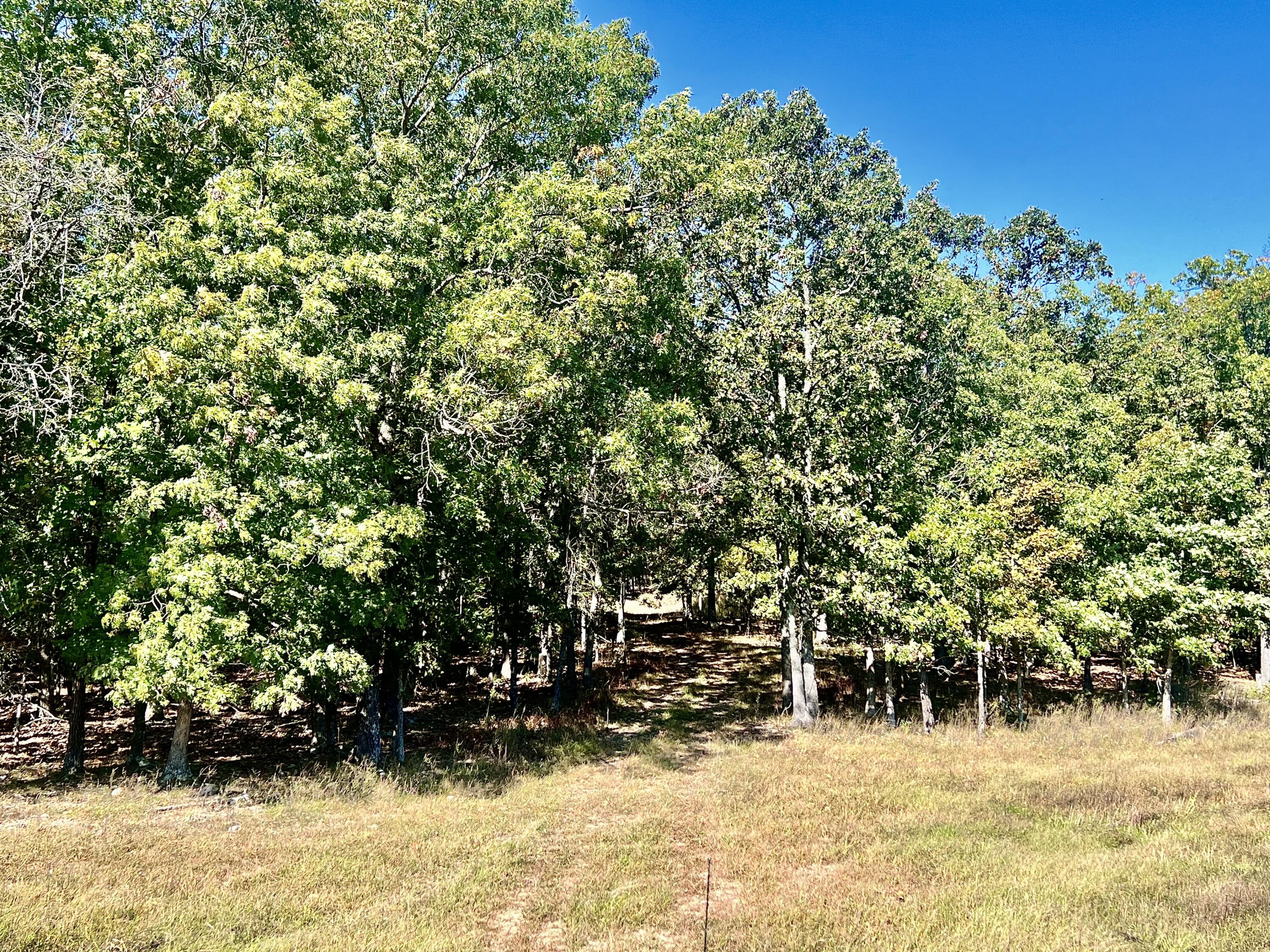 000 Bell Road Property Photo 19