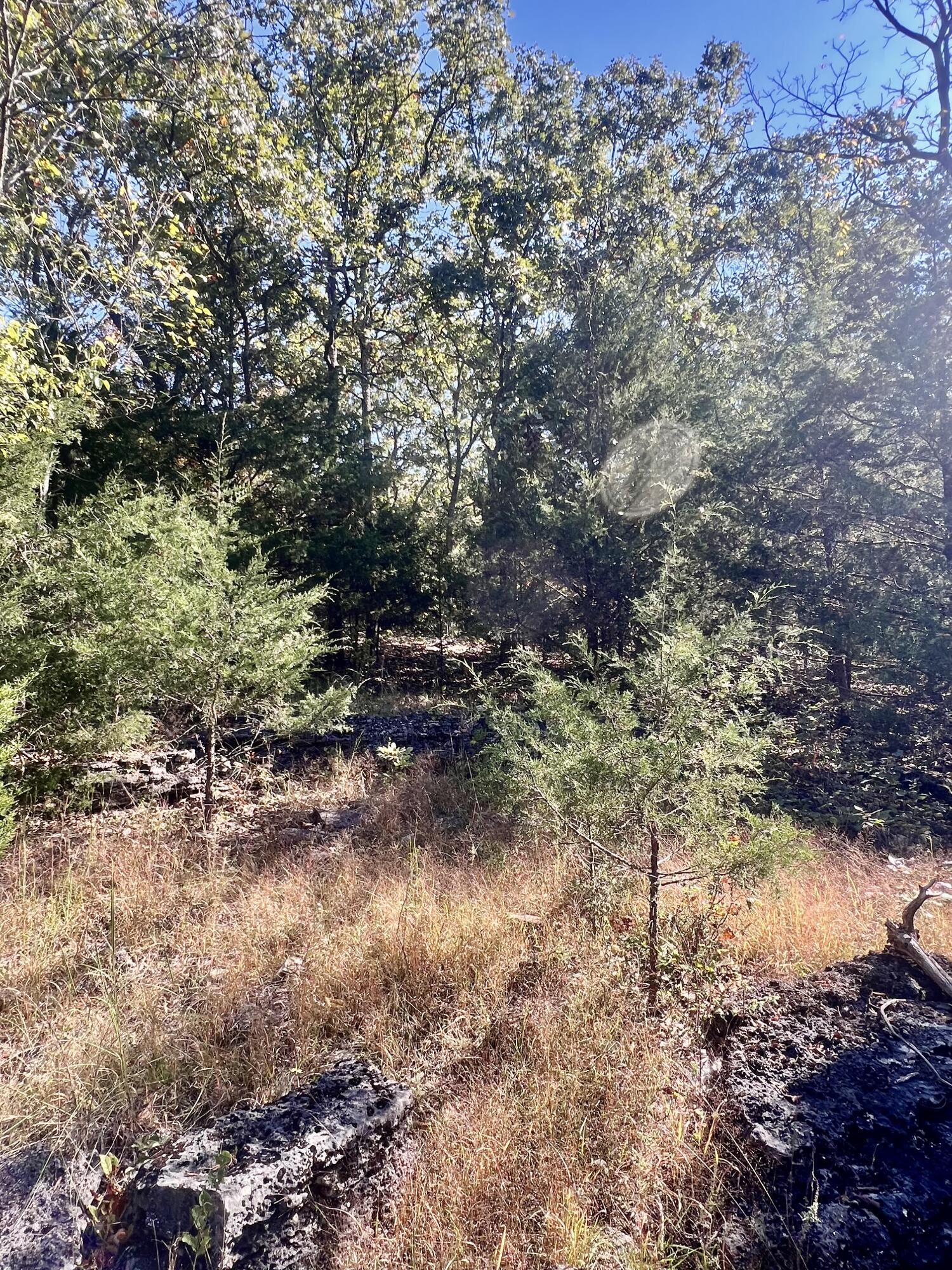 000 Bell Road Property Photo 38