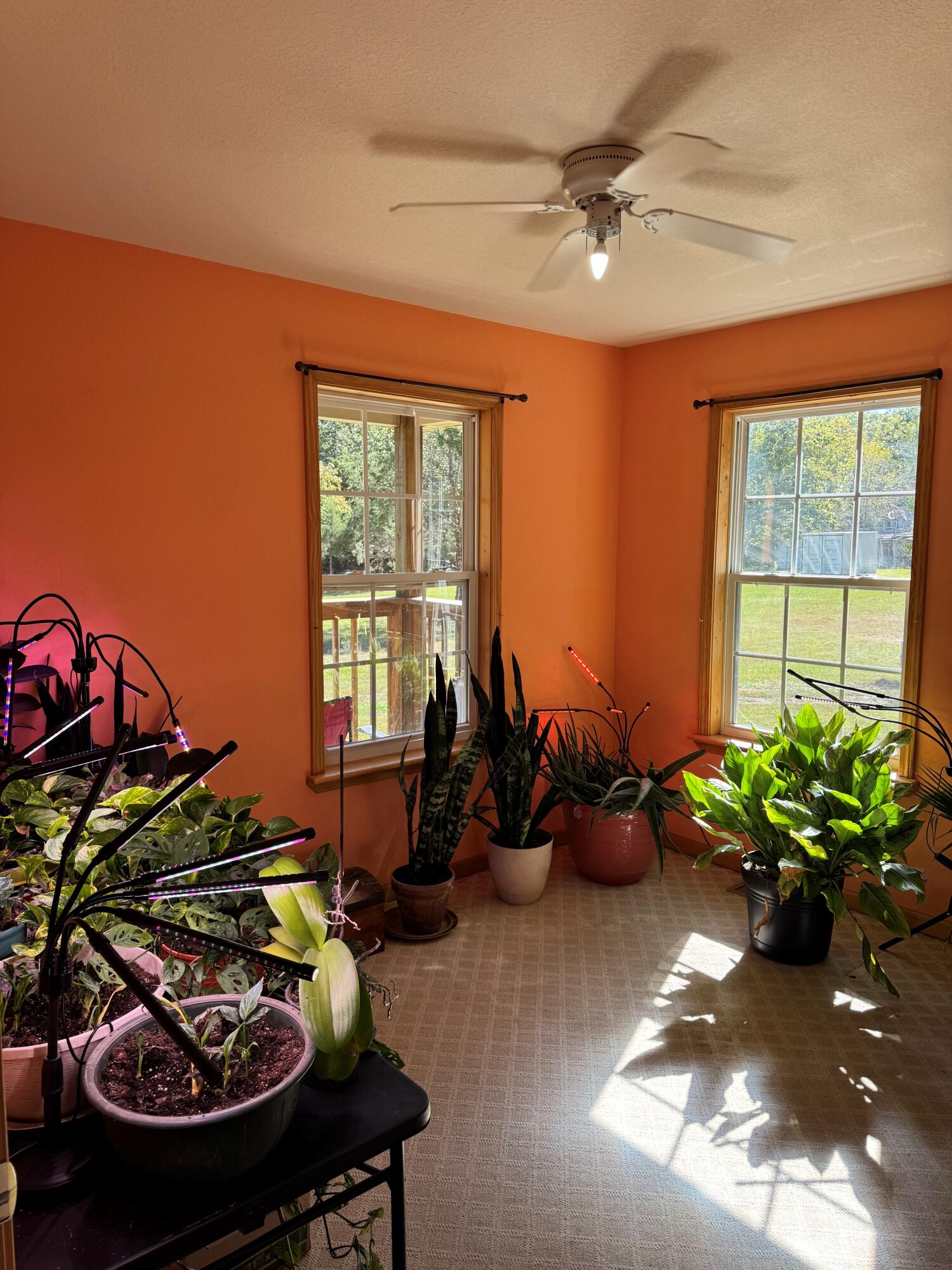 1454 County Road 434 Property Photo 14