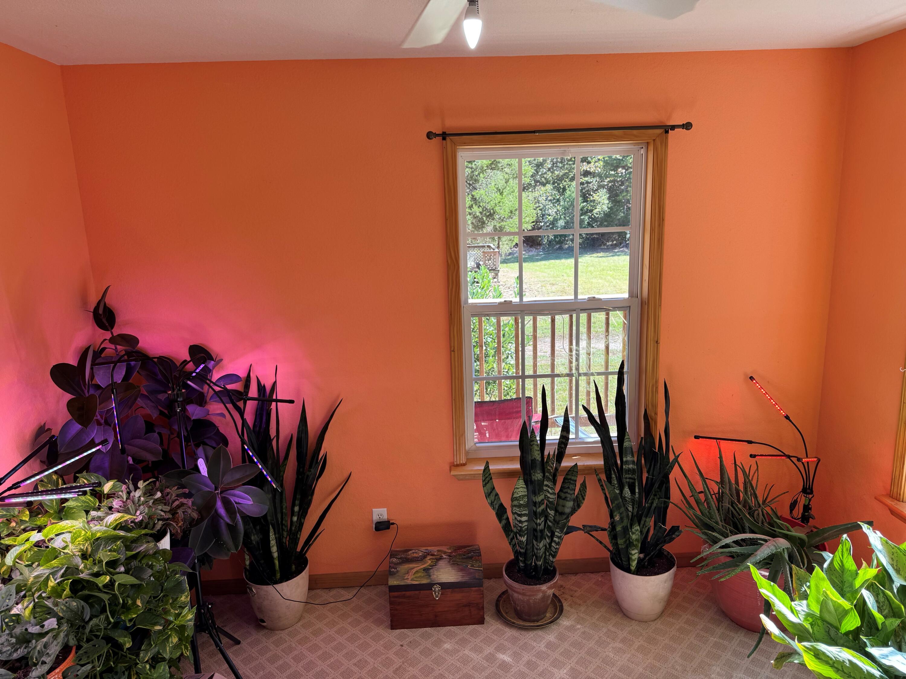 1454 County Road 434 Property Photo 15
