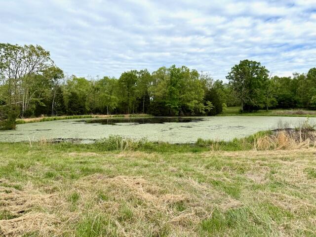 1003 County Road 3030 Property Photo 83