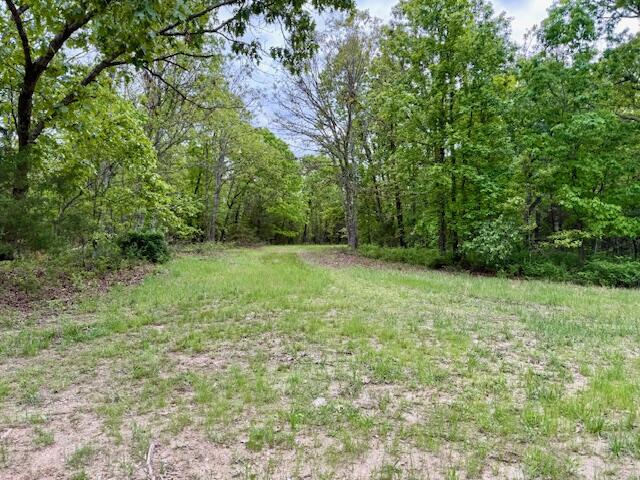 1003 County Road 3030 Property Photo 86