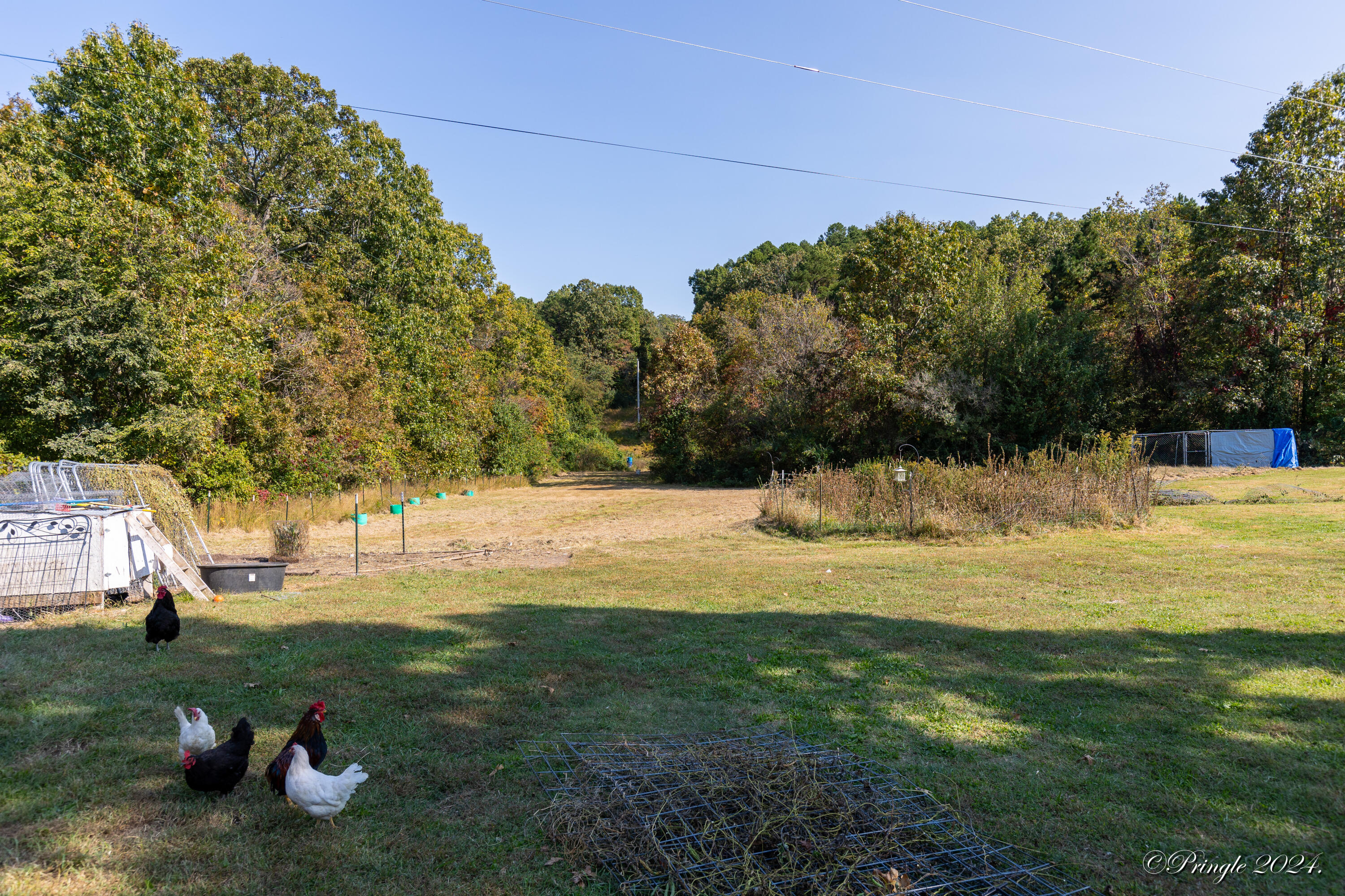 9744 County Road 8270 Property Photo 38
