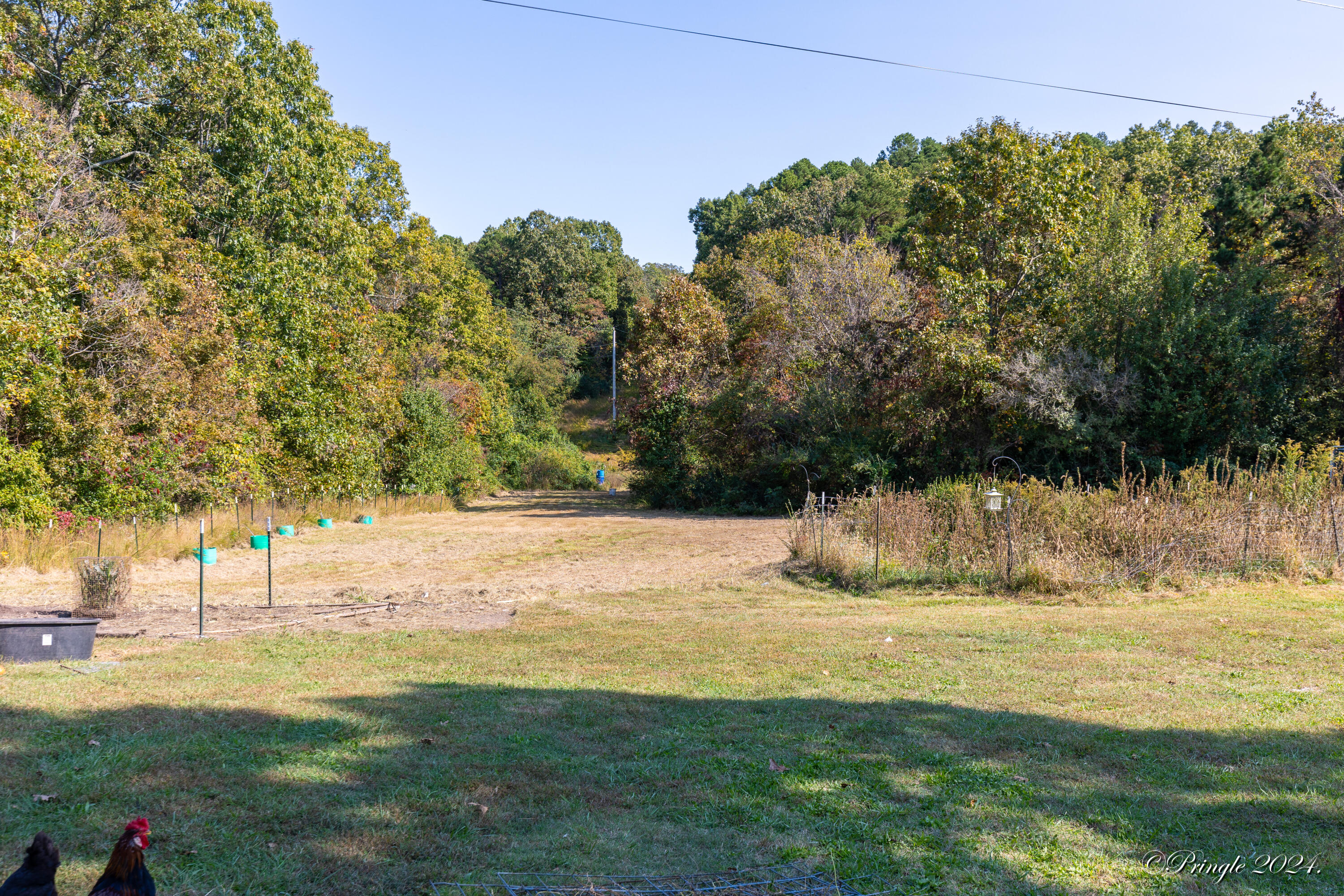 9744 County Road 8270 Property Photo 42