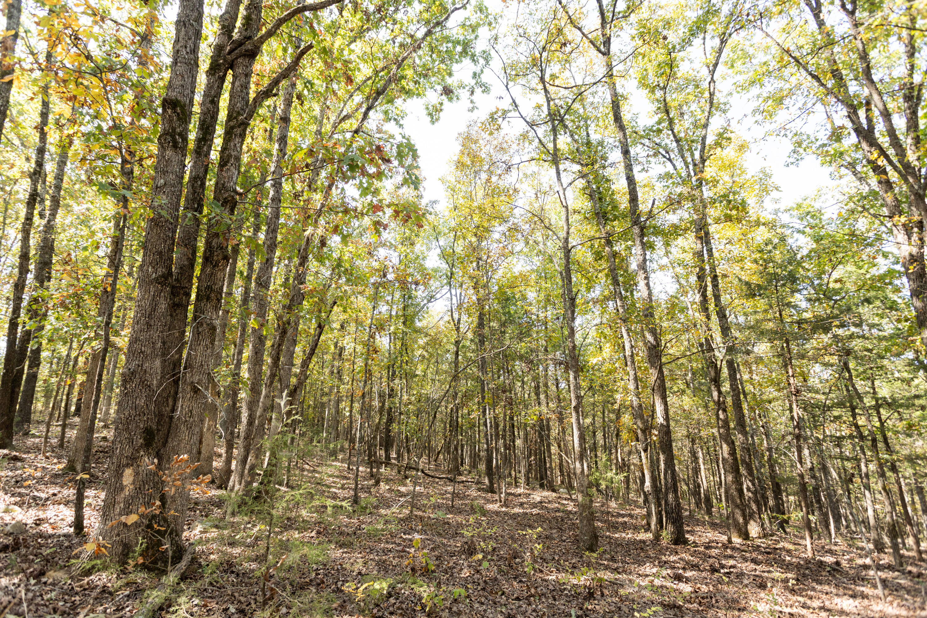 000 County Road 831 Property Photo 4