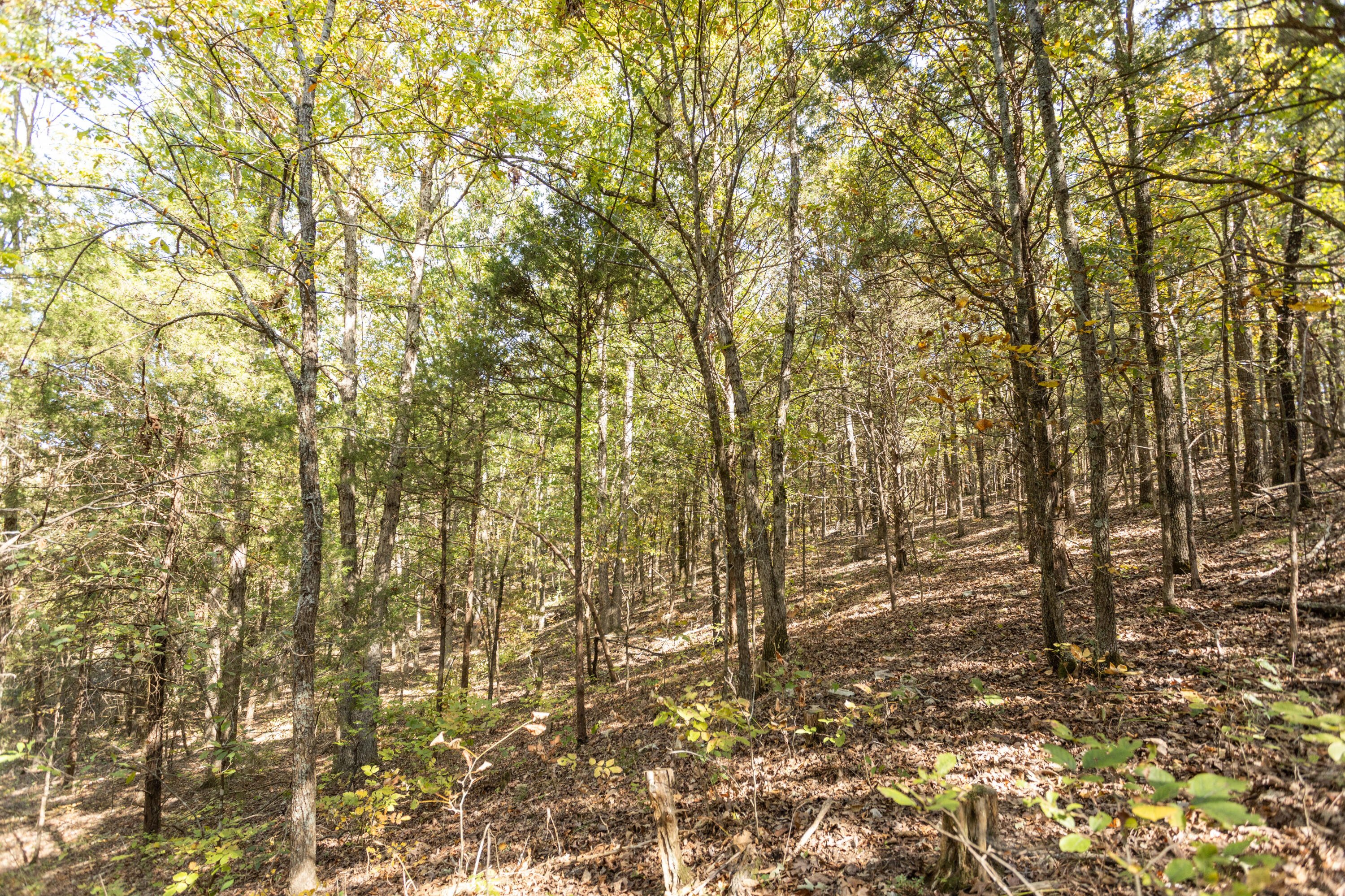 000 County Road 831 Property Photo 7