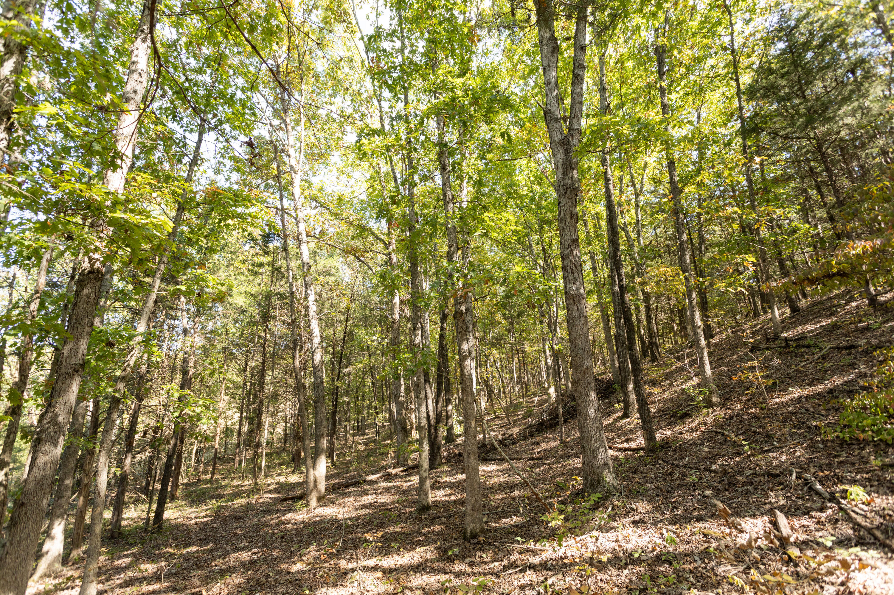 000 County Road 831 Property Photo 11