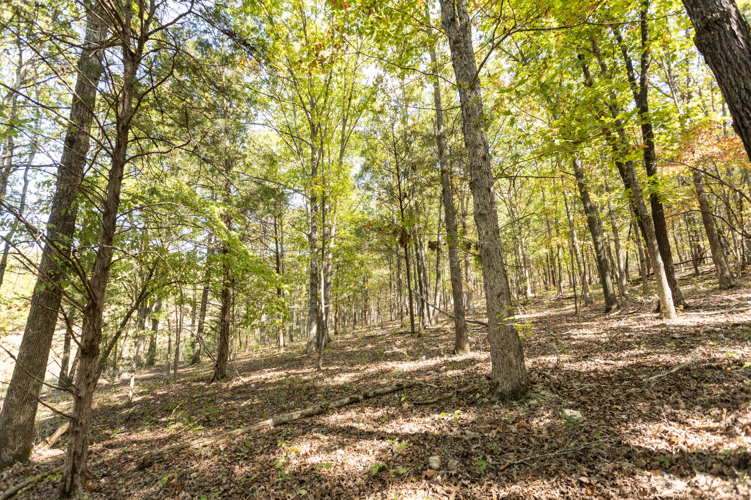 000 County Road 831 Property Photo 13