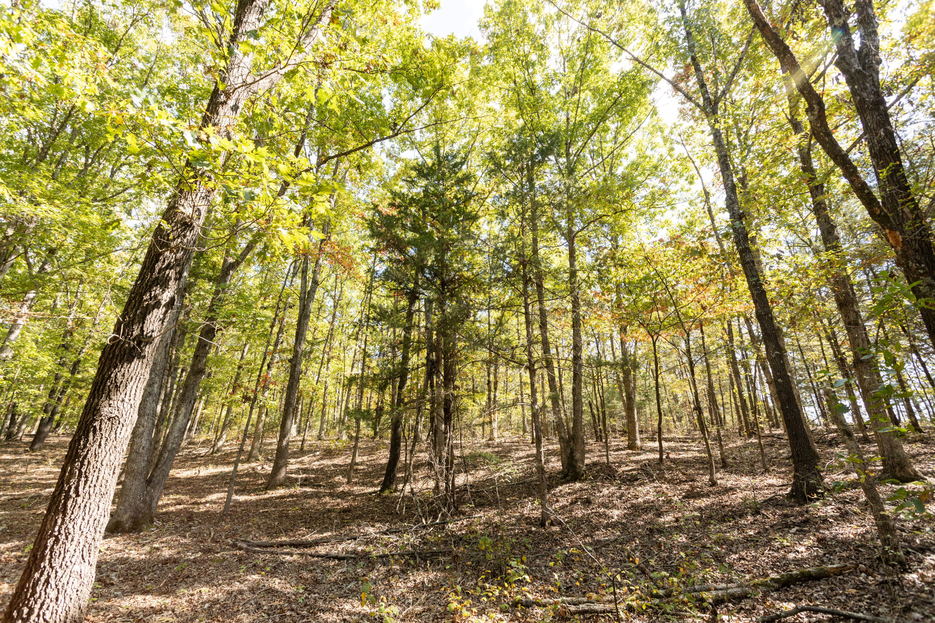 000 County Road 831 Property Photo 15
