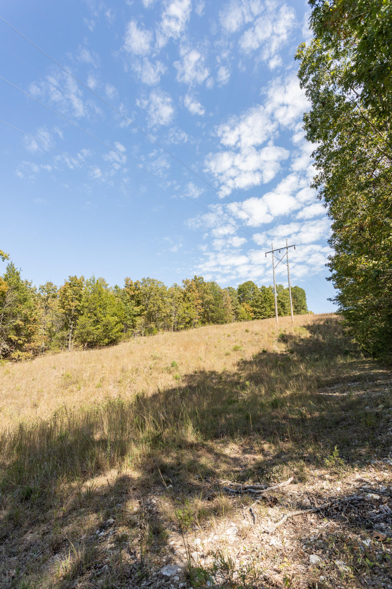 000 County Road 831 Property Photo 16
