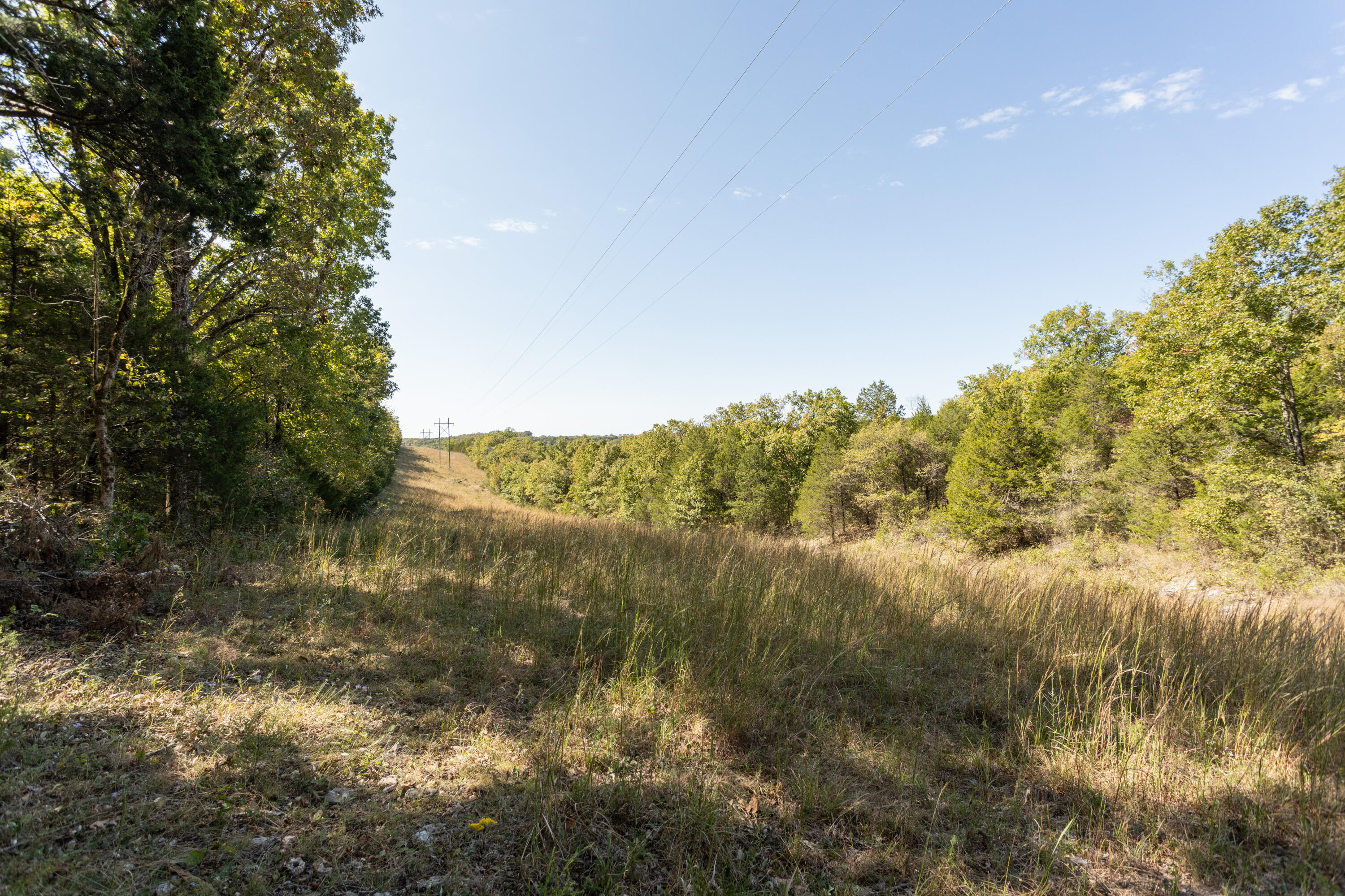 000 County Road 831 Property Photo 17