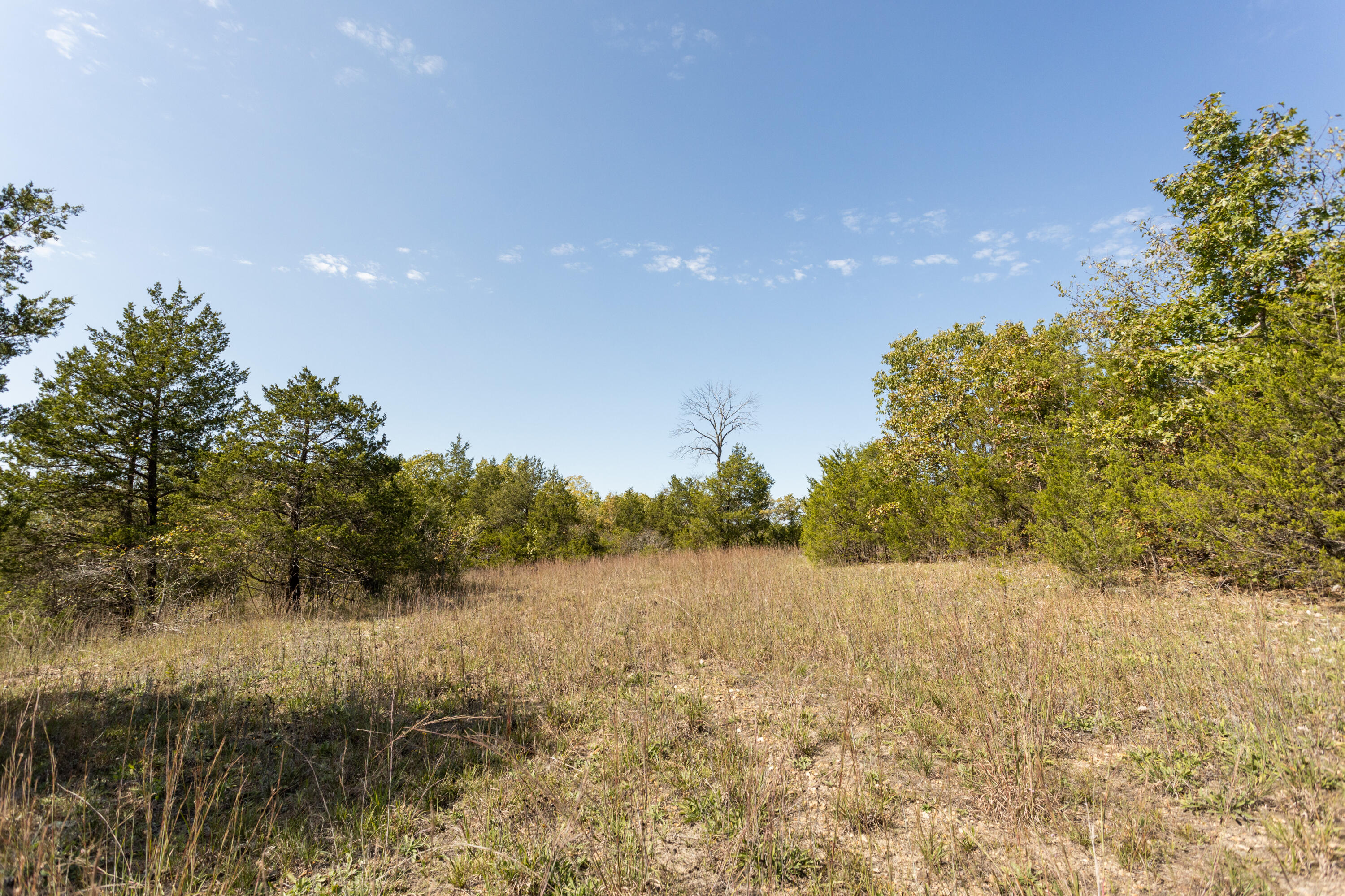 000 County Road 831 Property Photo 19