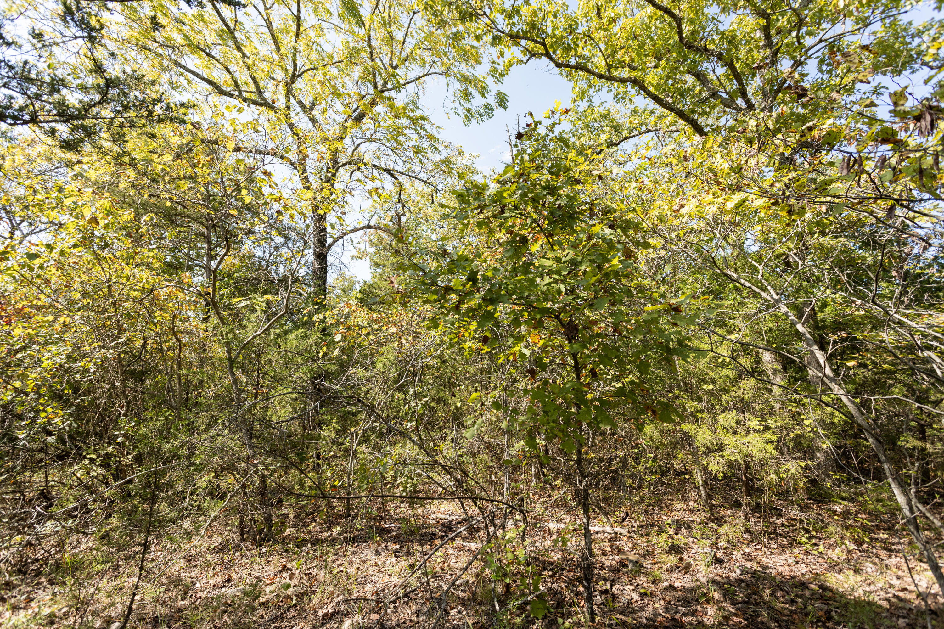 000 County Road 831 Property Photo 22