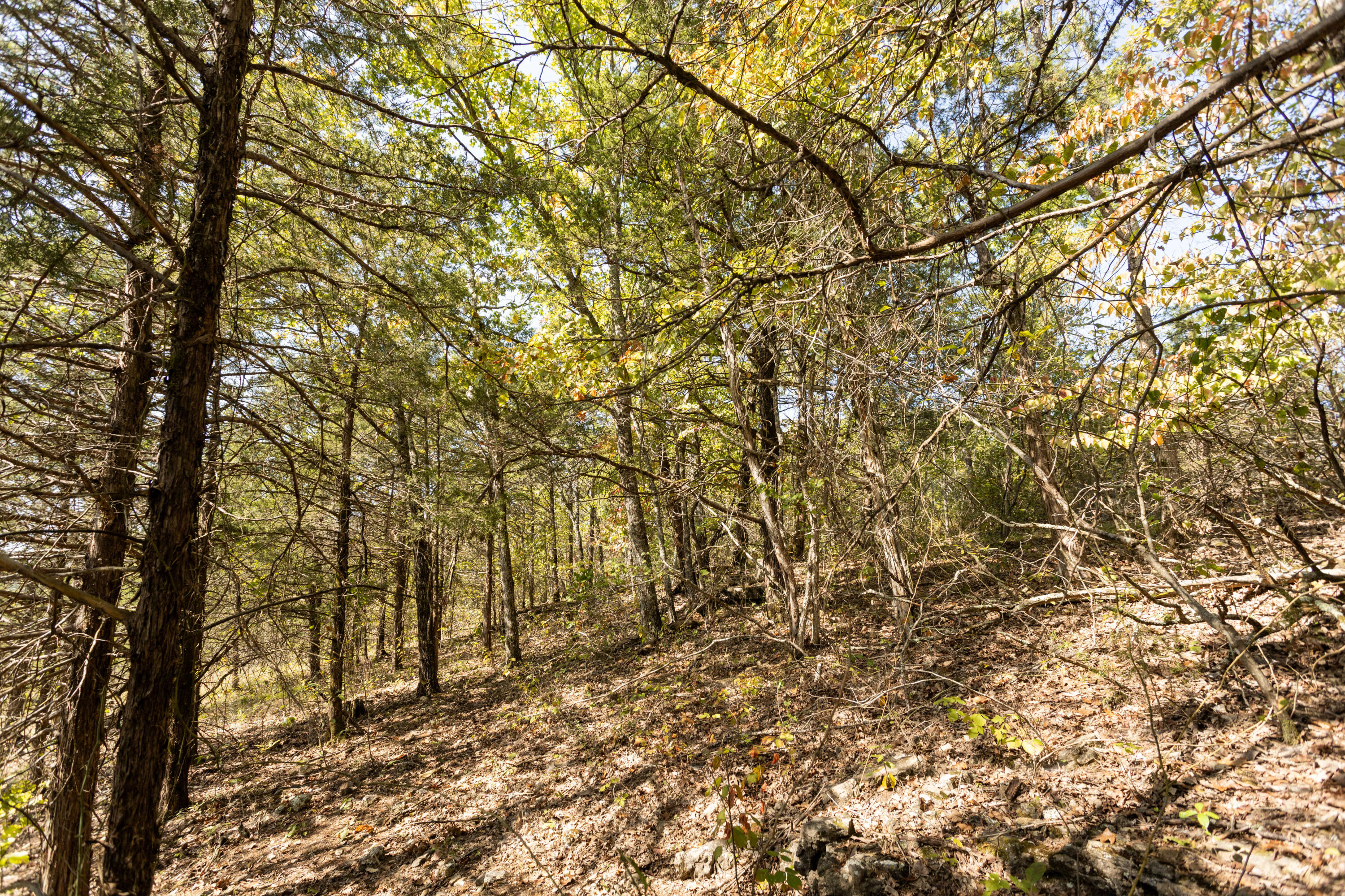 000 County Road 831 Property Photo 24