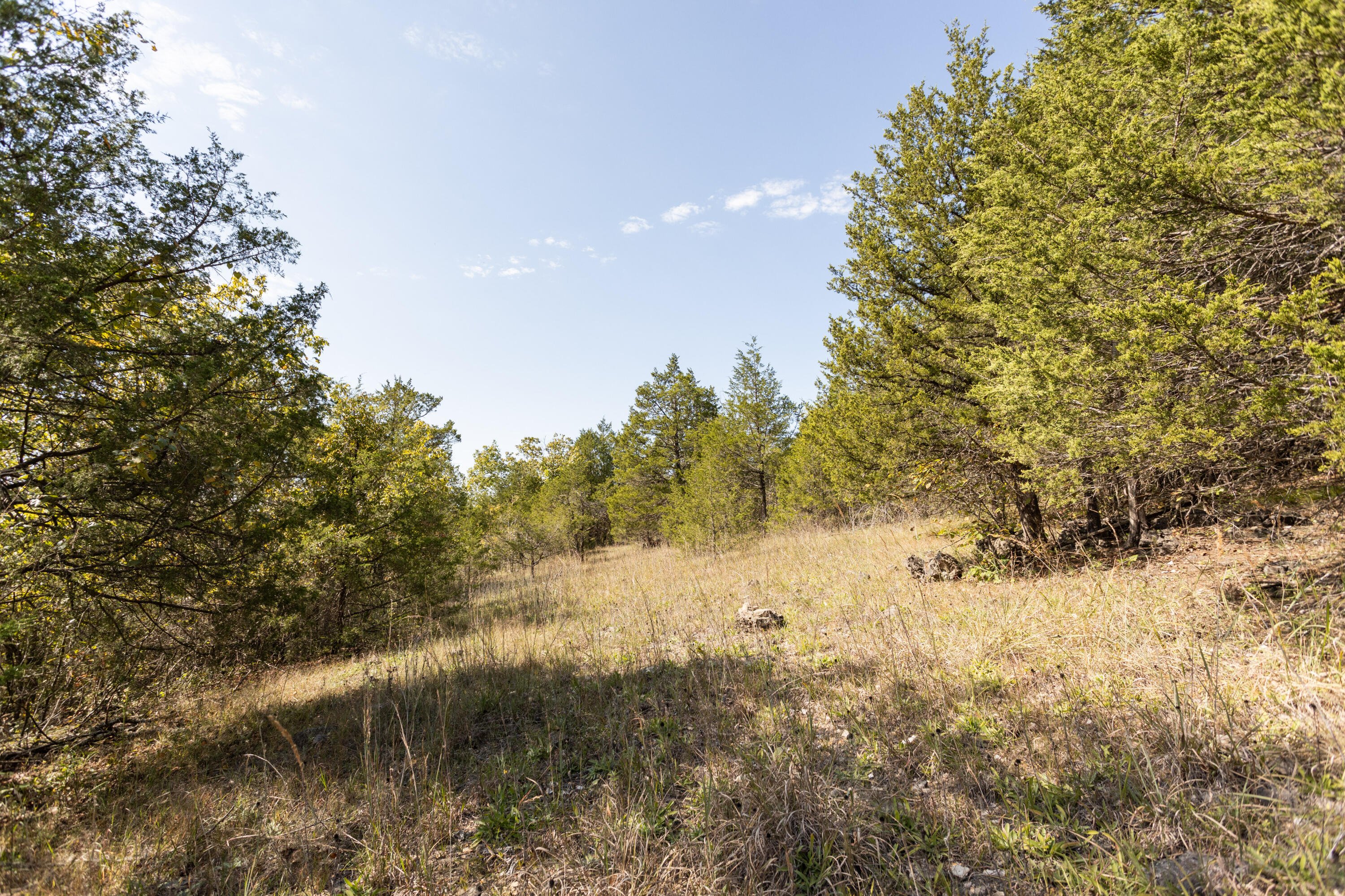 000 County Road 831 Property Photo 25