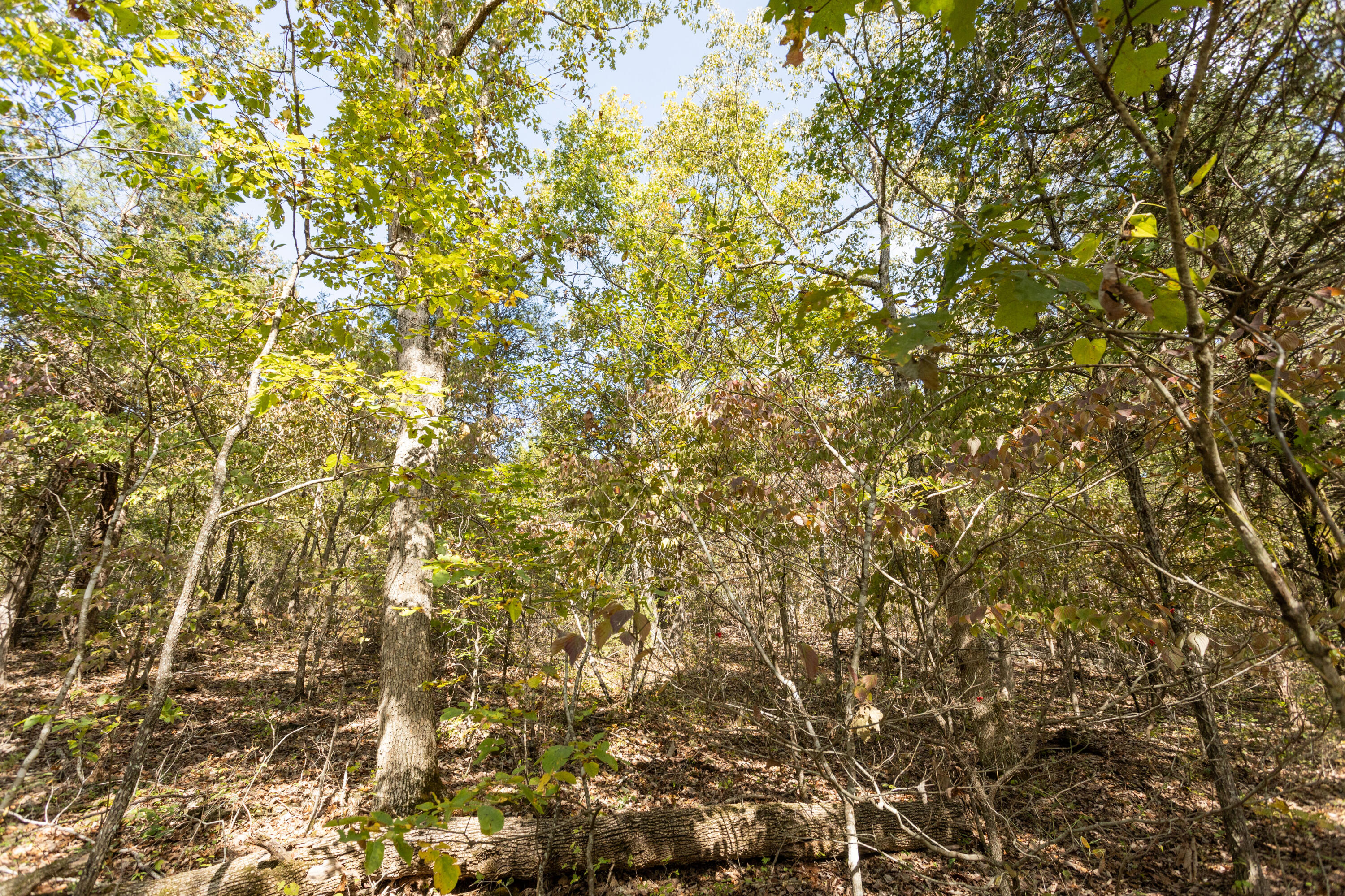 000 County Road 831 Property Photo 27