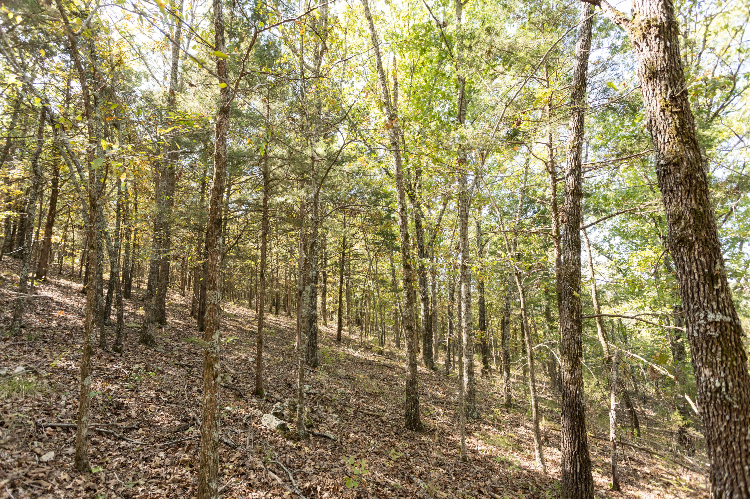 000 County Road 831 Property Photo 28