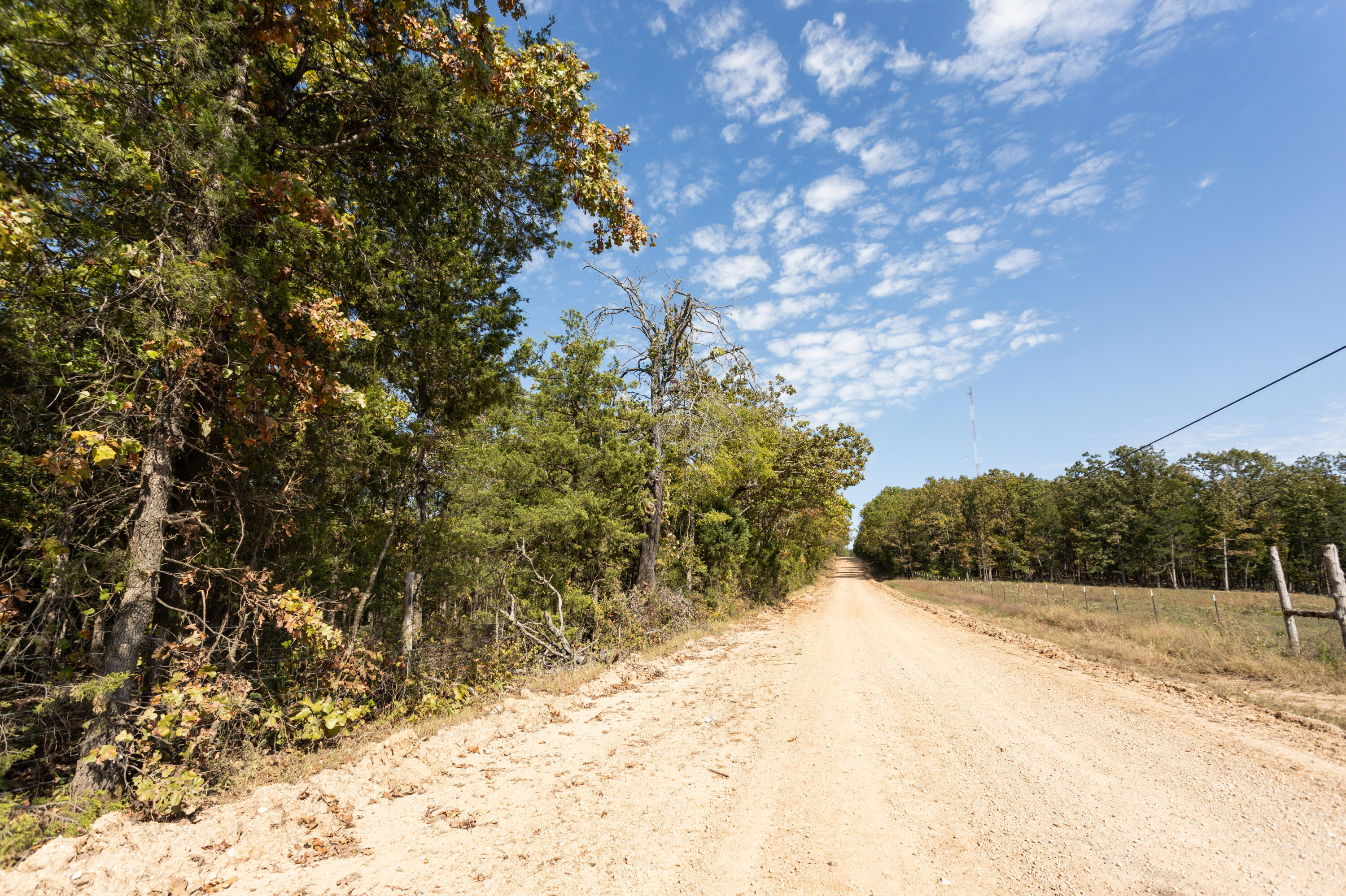 000 County Road 831 Property Photo 29