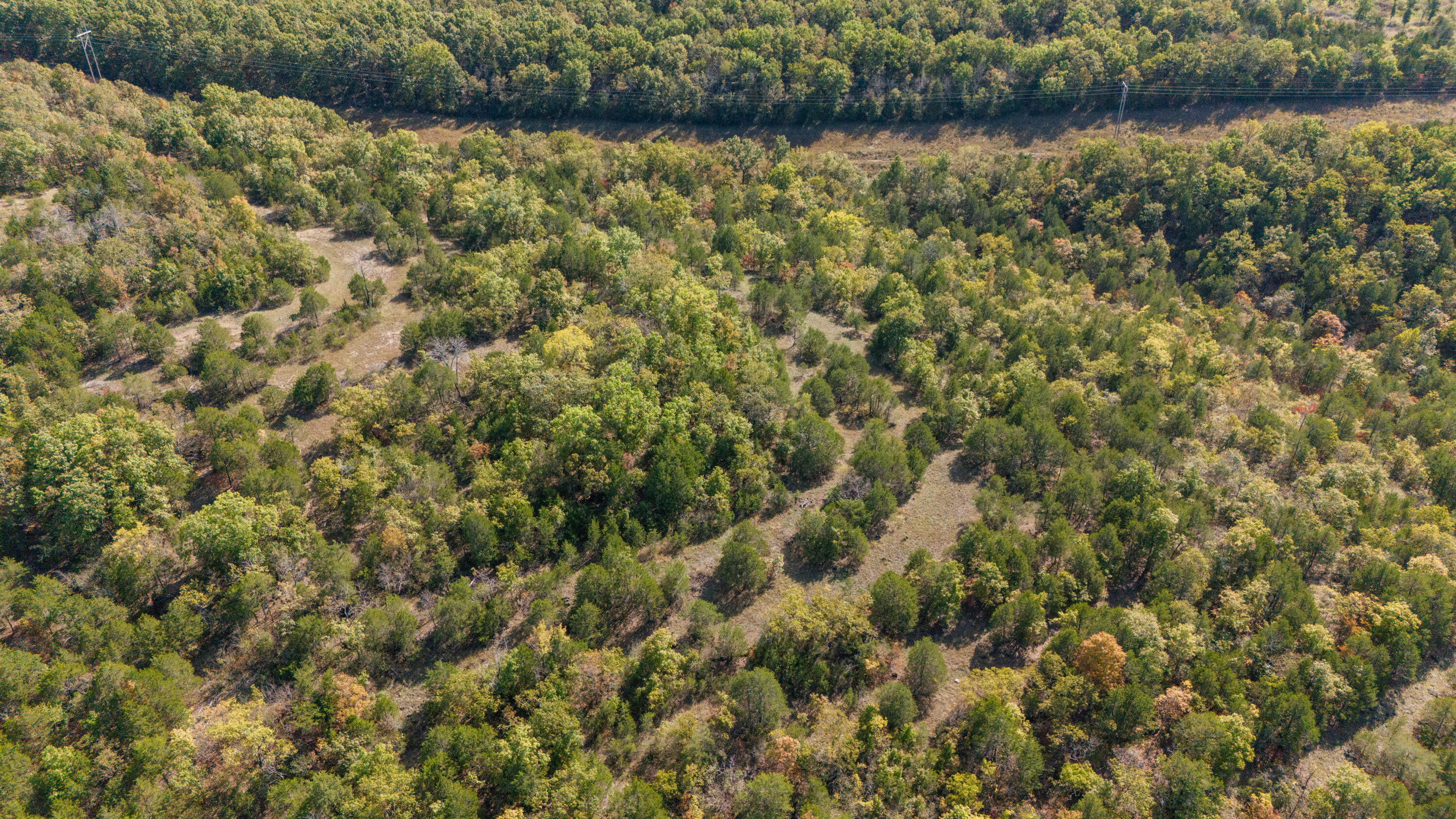 000 County Road 831 Property Photo 37