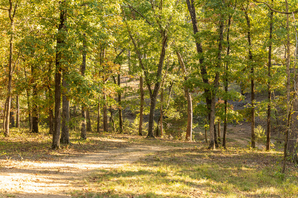 Tbd State Highway 13 Property Photo 33