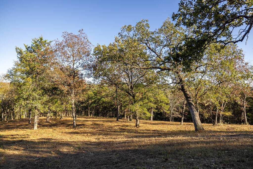 Tbd State Highway 13 Property Photo 37