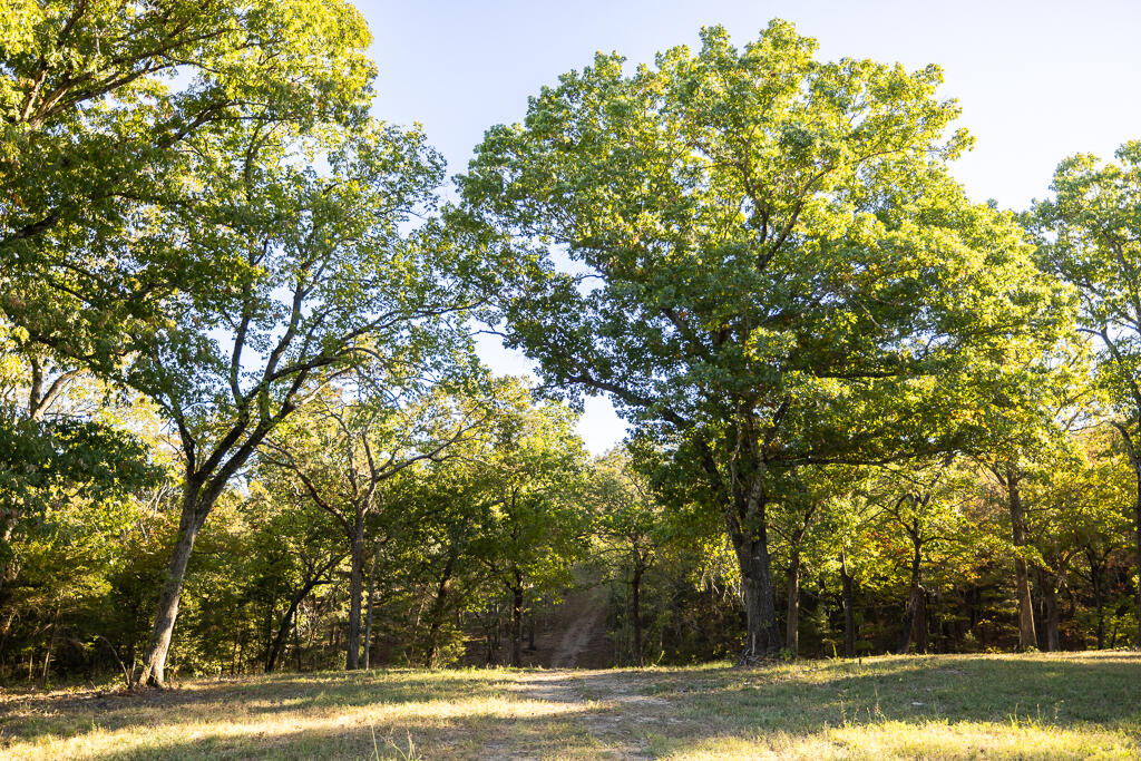 Tbd State Highway 13 Property Photo 44