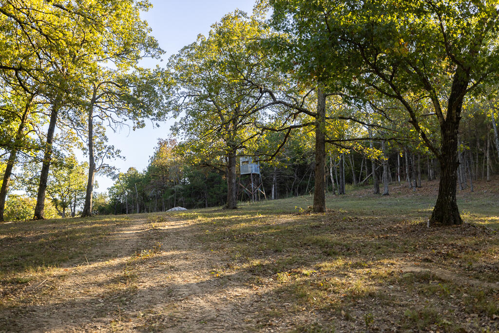 Tbd State Highway 13 Property Photo 46