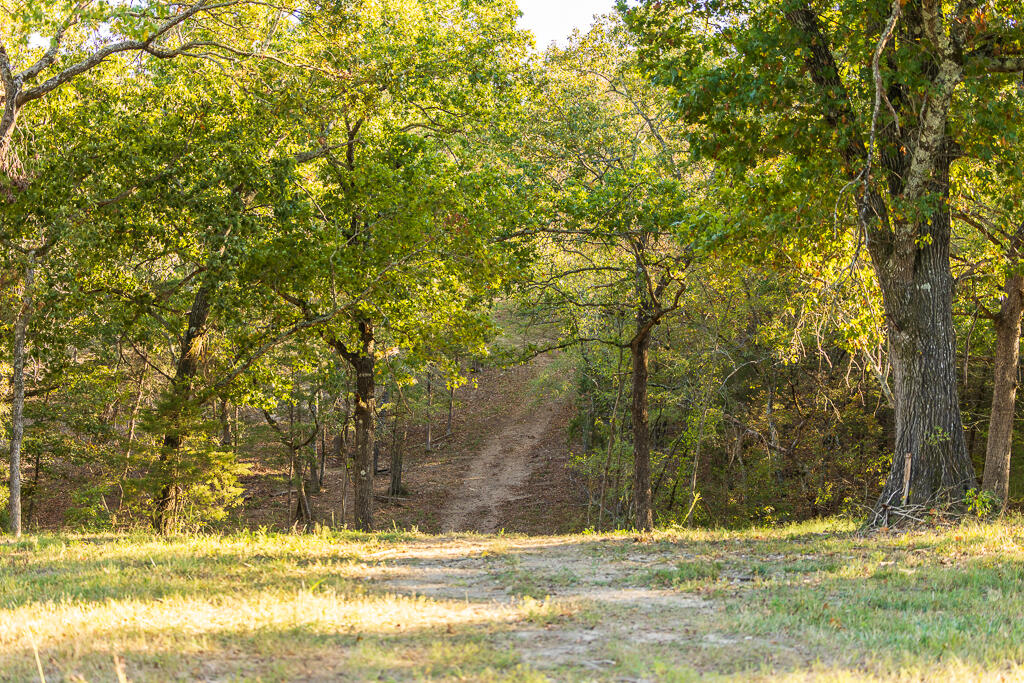 Tbd State Highway 13 Property Photo 50