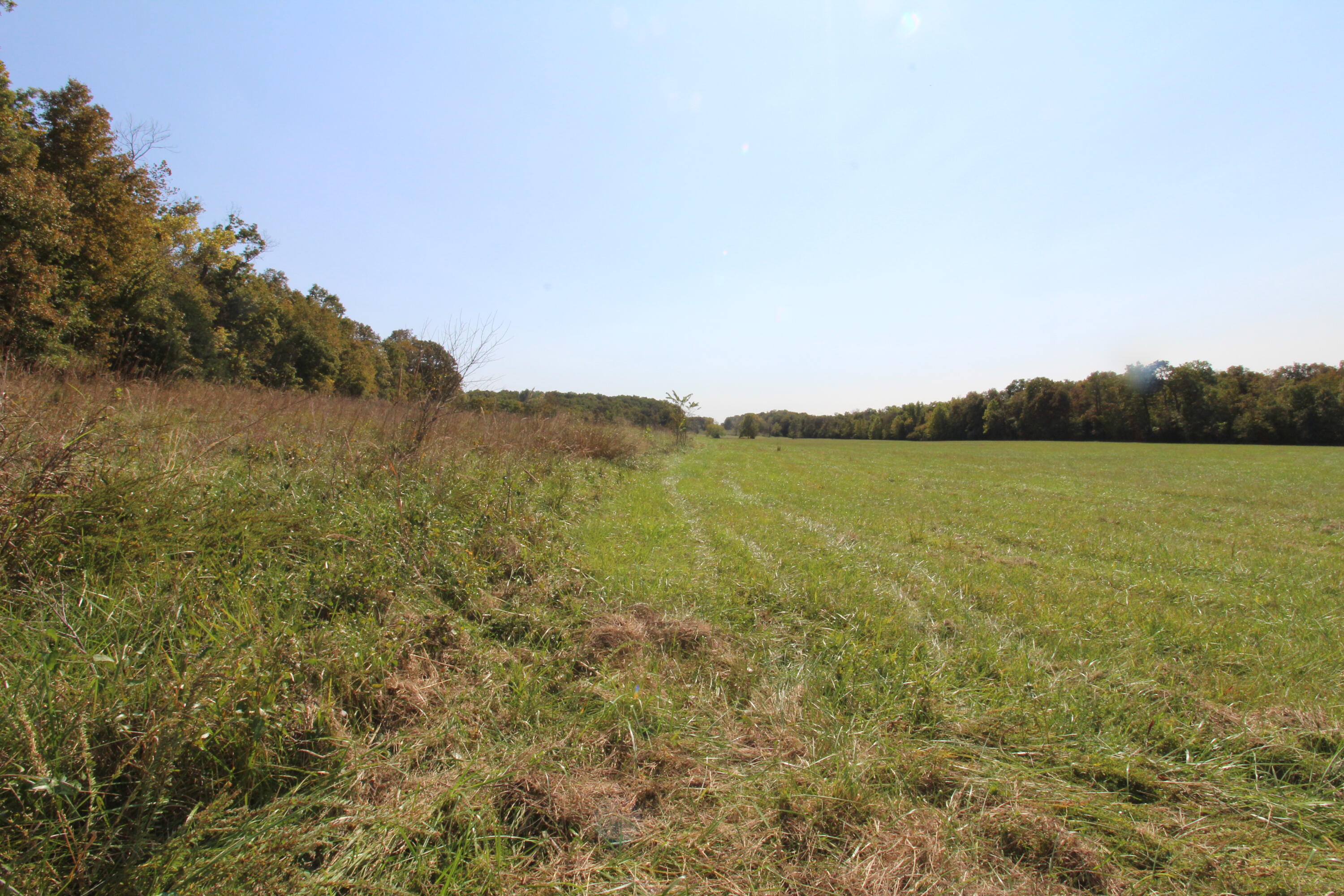 5275 County Road 9720 Property Photo 23