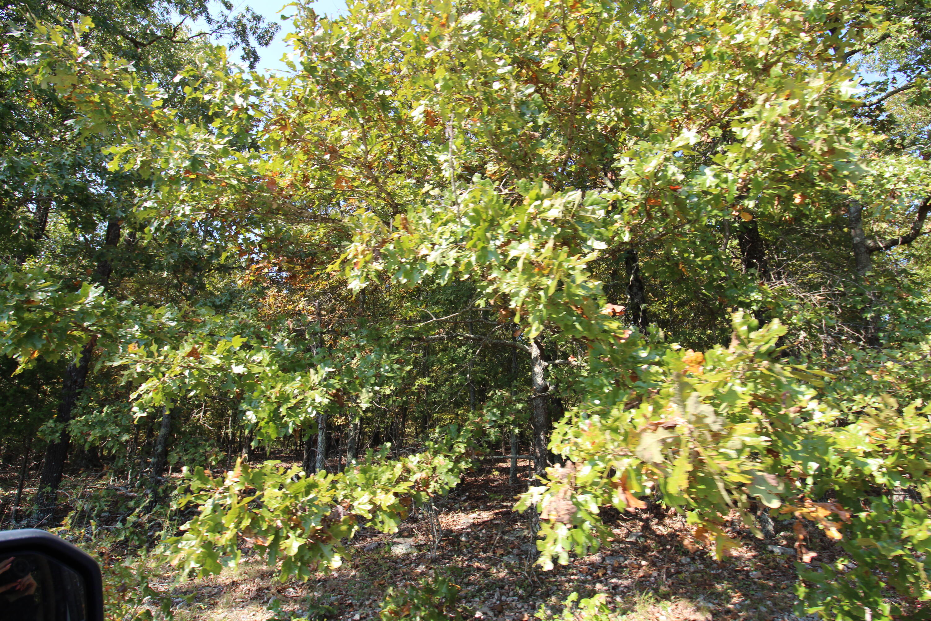 5275 County Road 9720 Property Photo 24