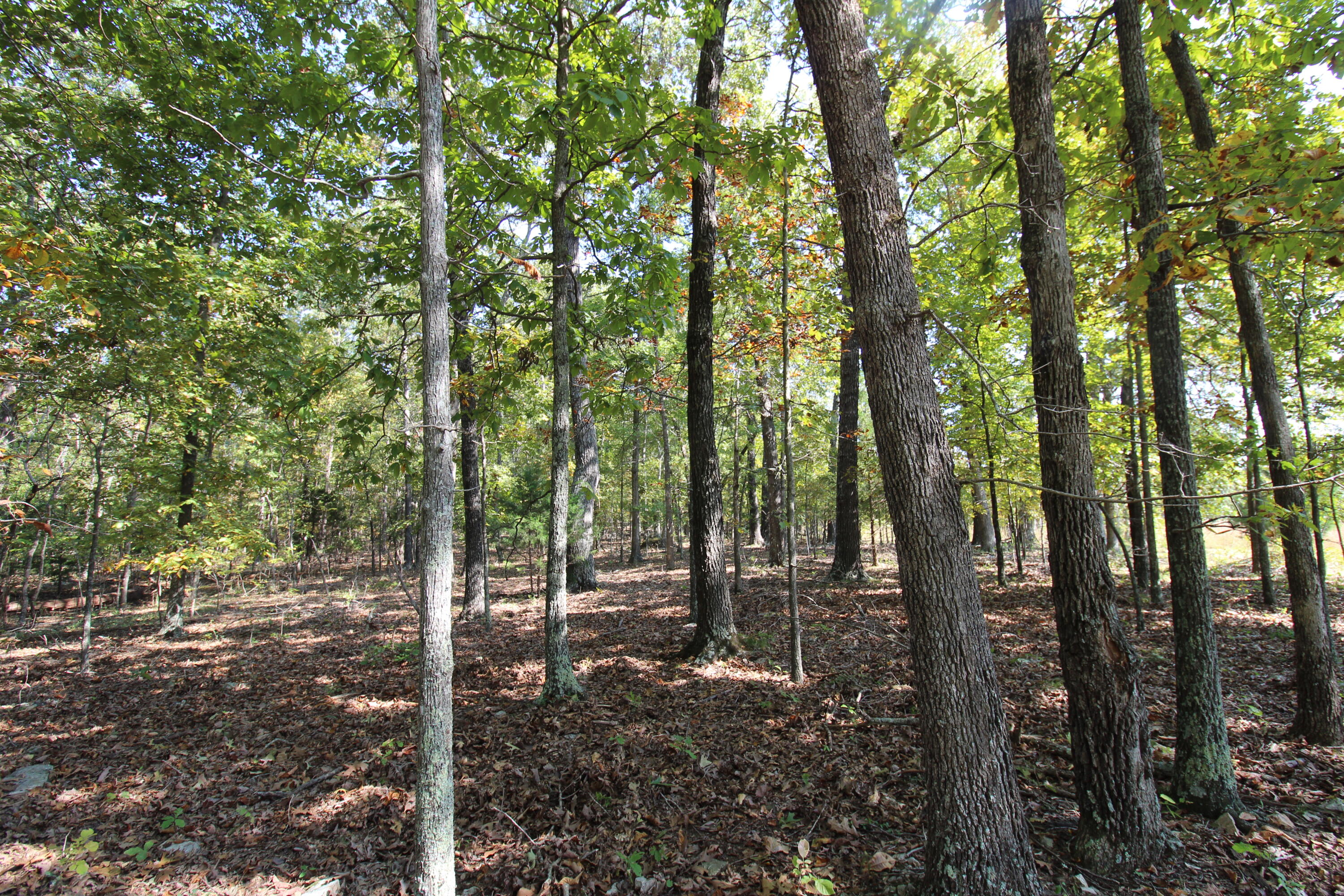 5275 County Road 9720 Property Photo 25