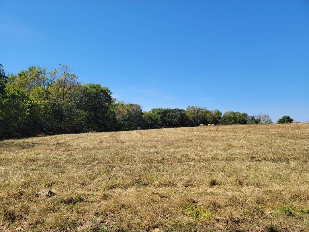 000 Farm Rd 2040 Property Photo 3