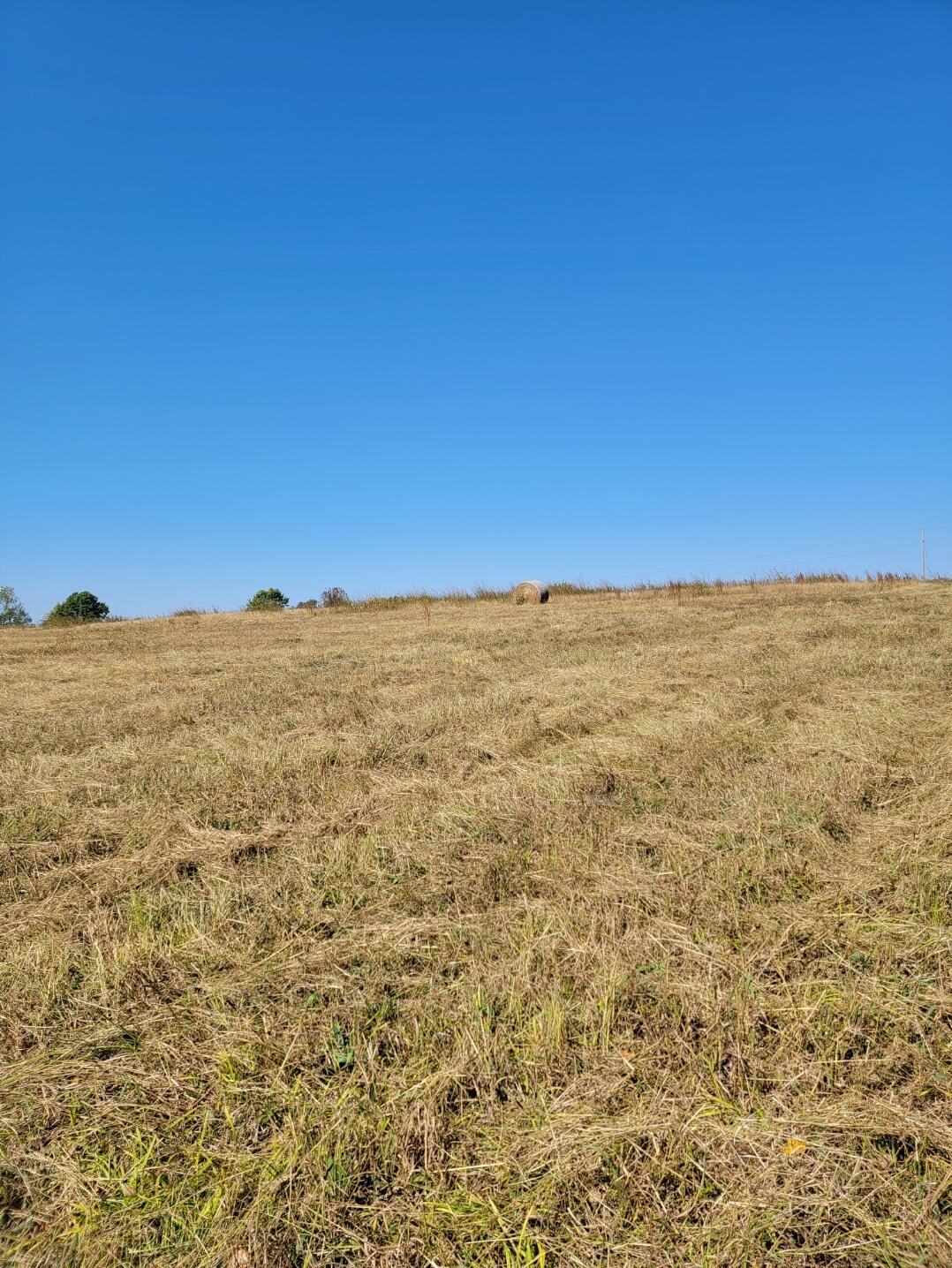 000 Farm Rd 2040 Property Photo 4