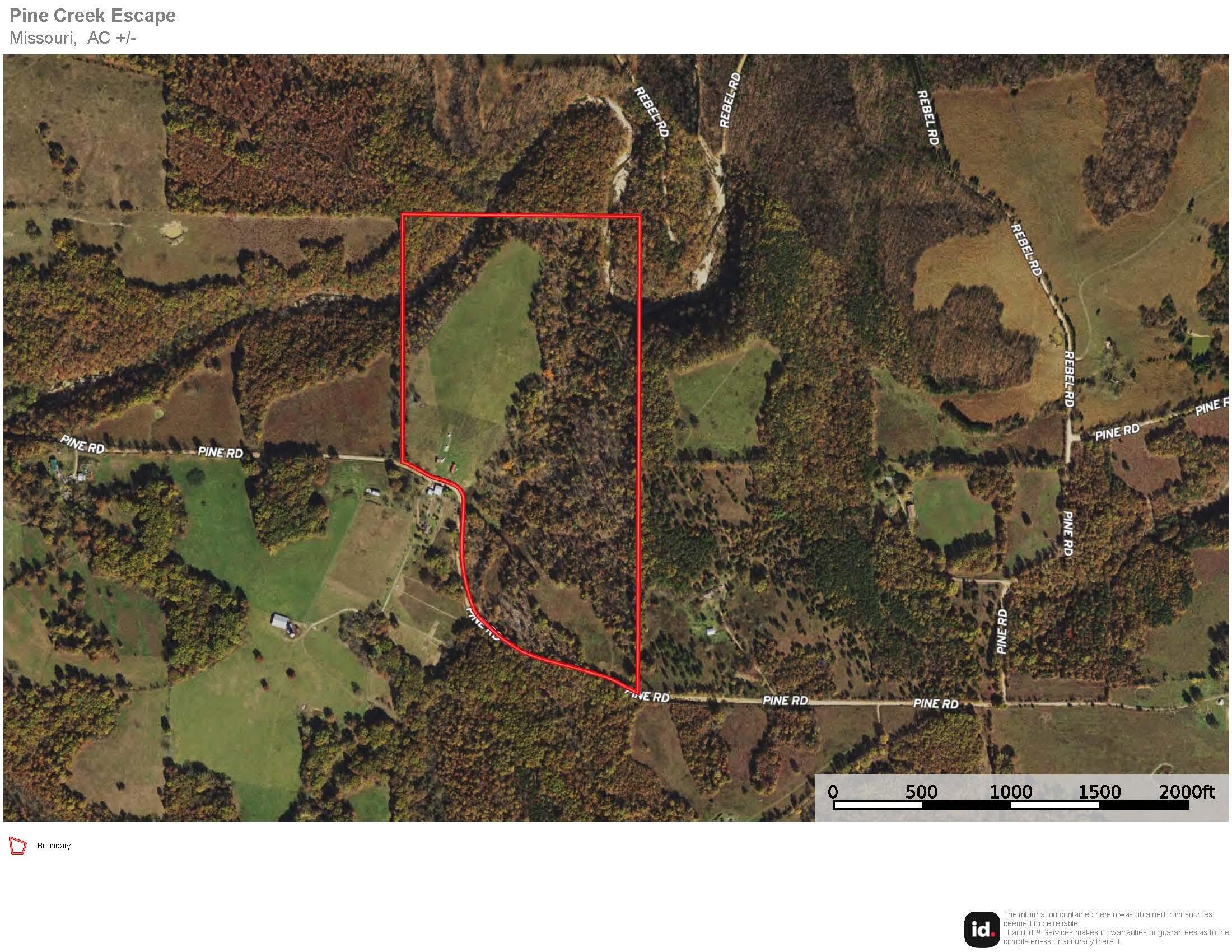 18905 Pine Road Property Photo 6