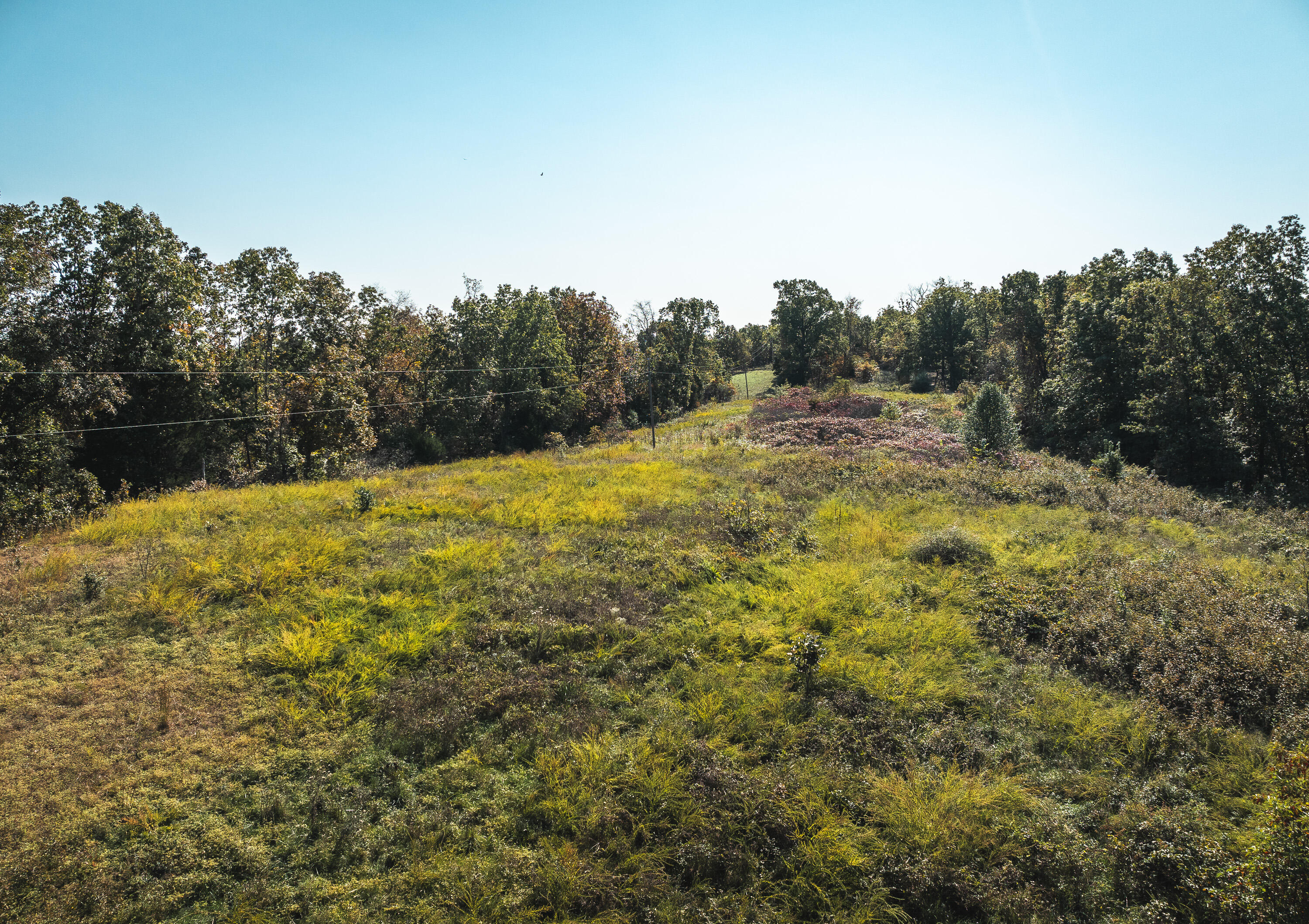 18905 Pine Road Property Photo 33