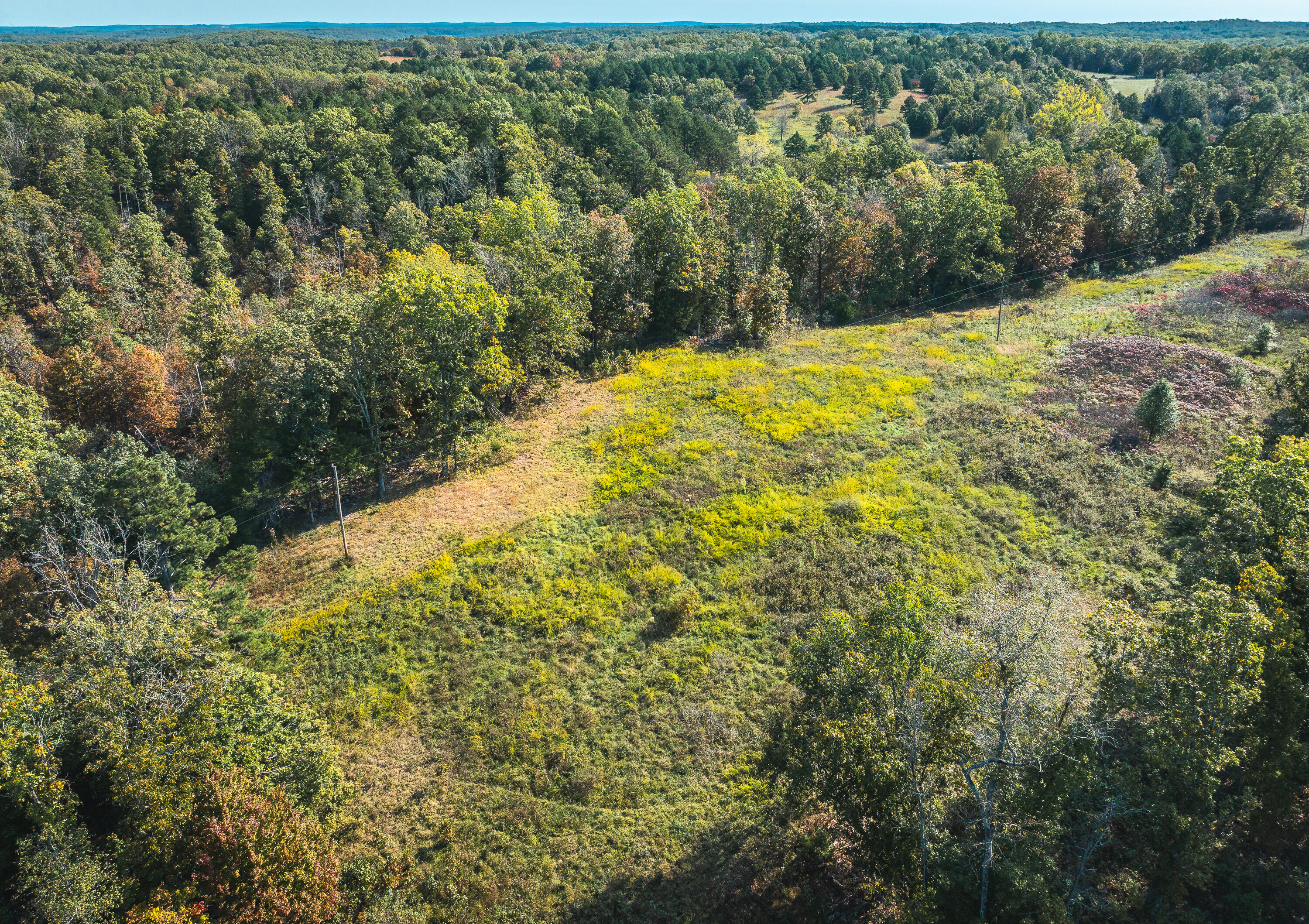 18905 Pine Road Property Photo 44