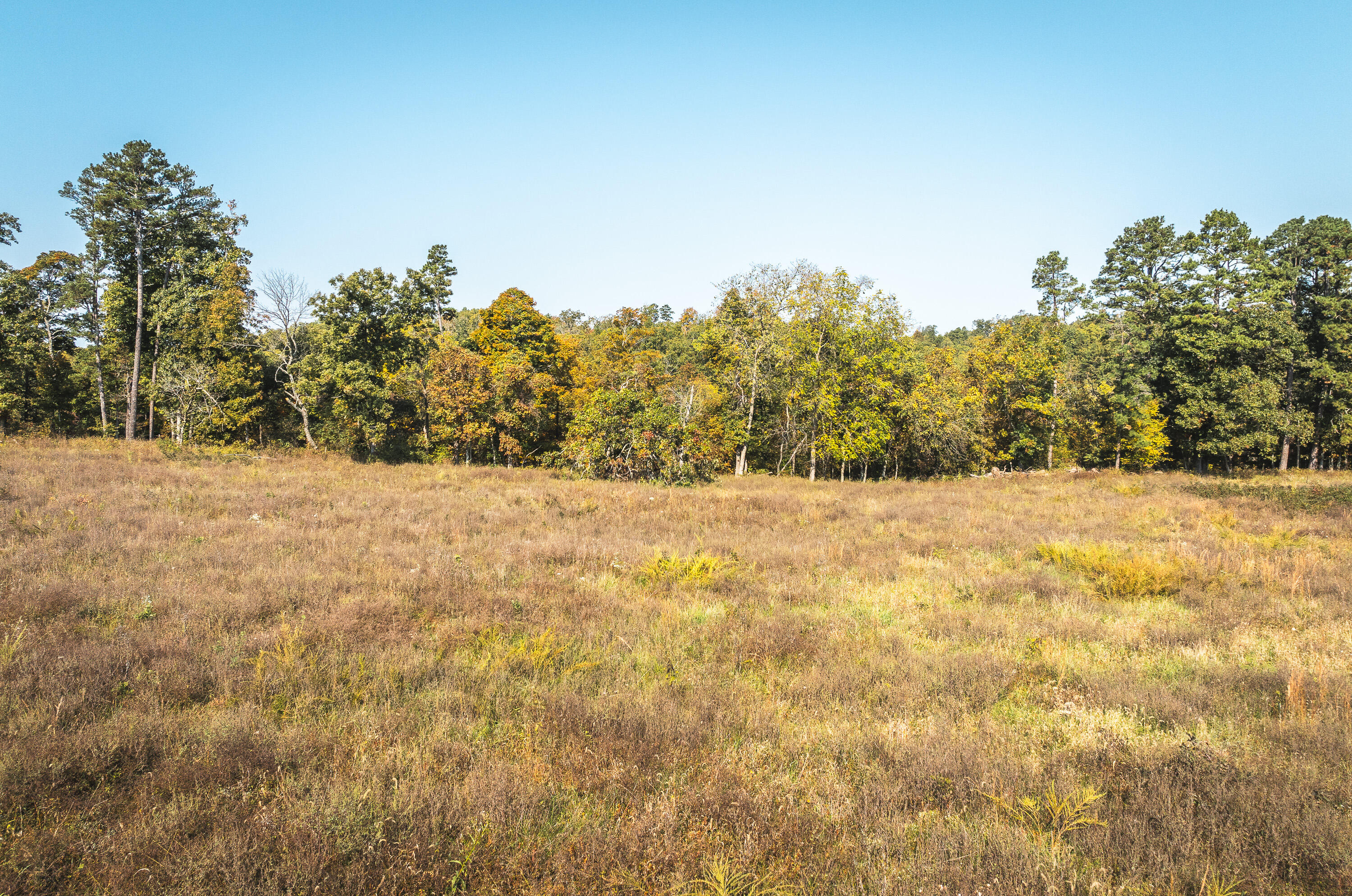 18905 Pine Road Property Photo 50