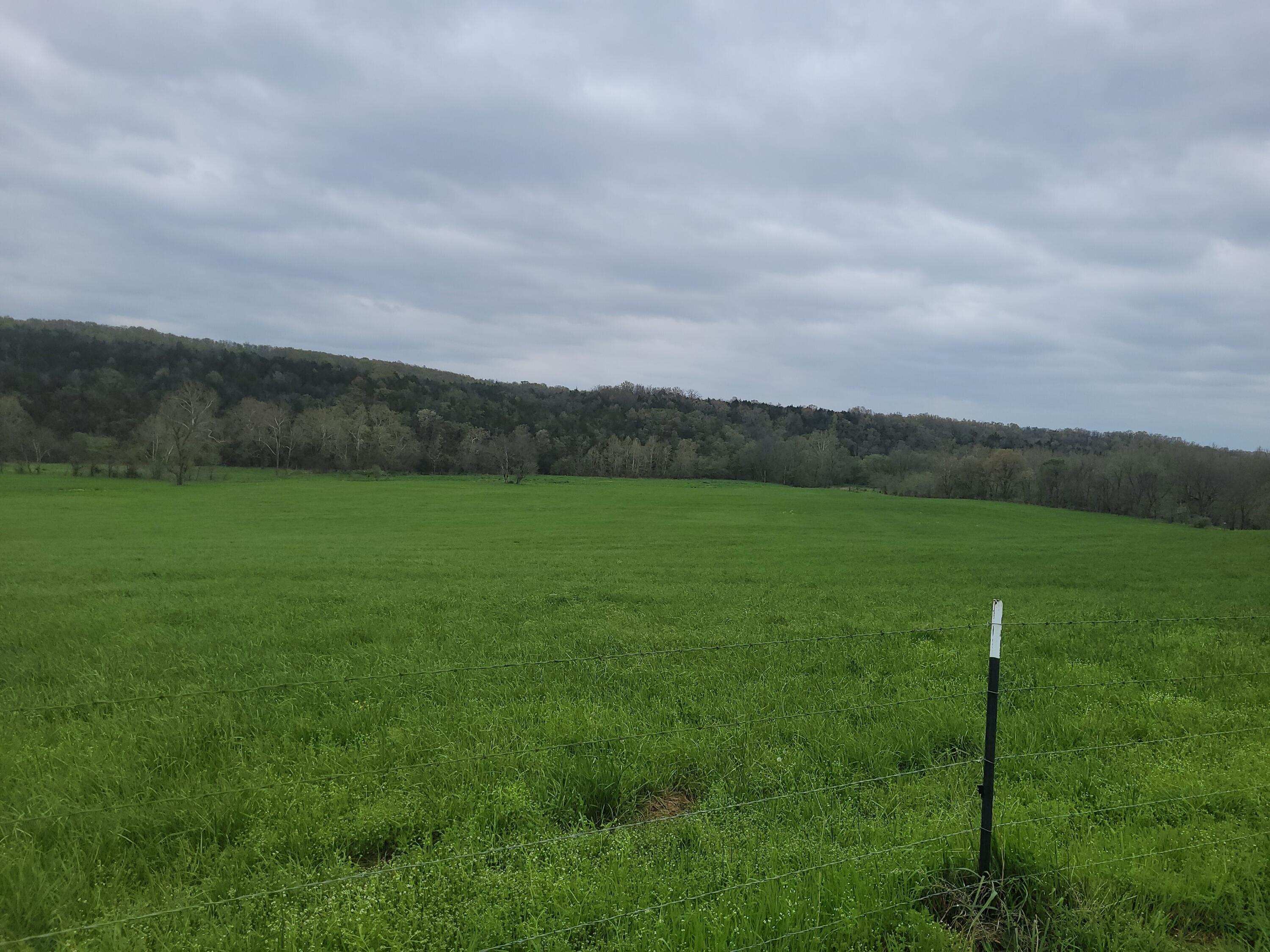 Tbd County Road 950 Property Photo 9