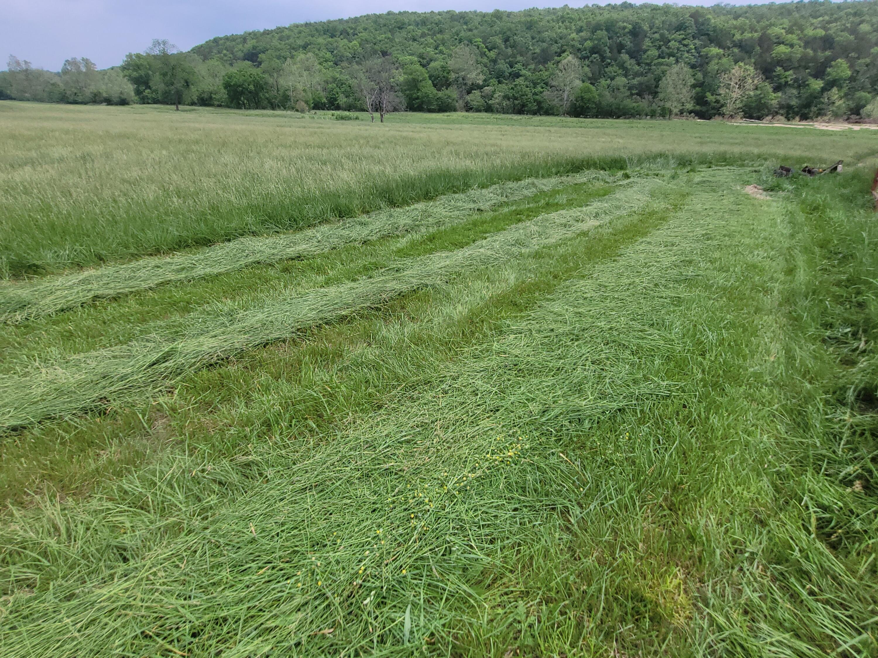 Tbd County Road 950 Property Photo 17