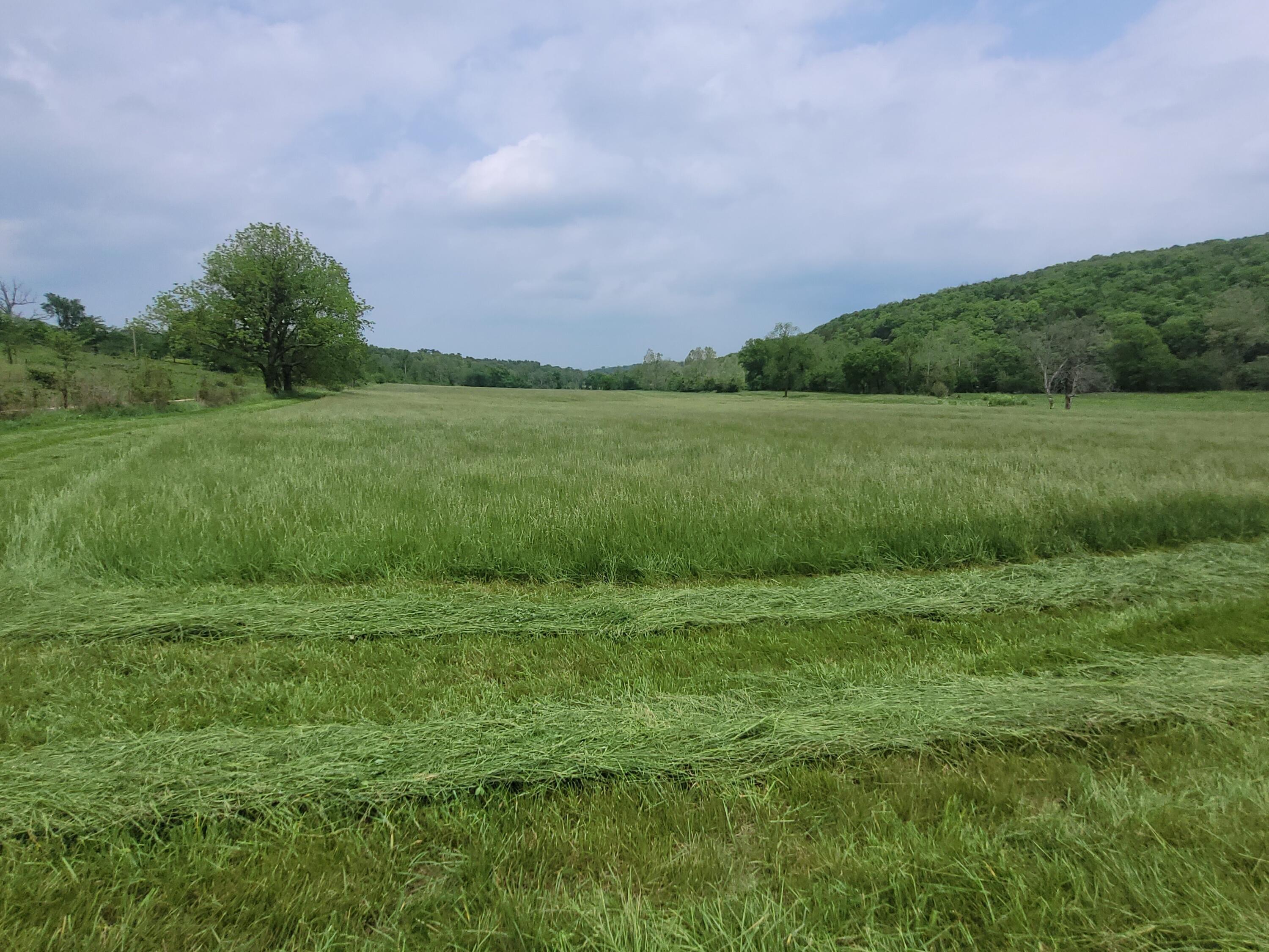 Tbd County Road 950 Property Photo 18