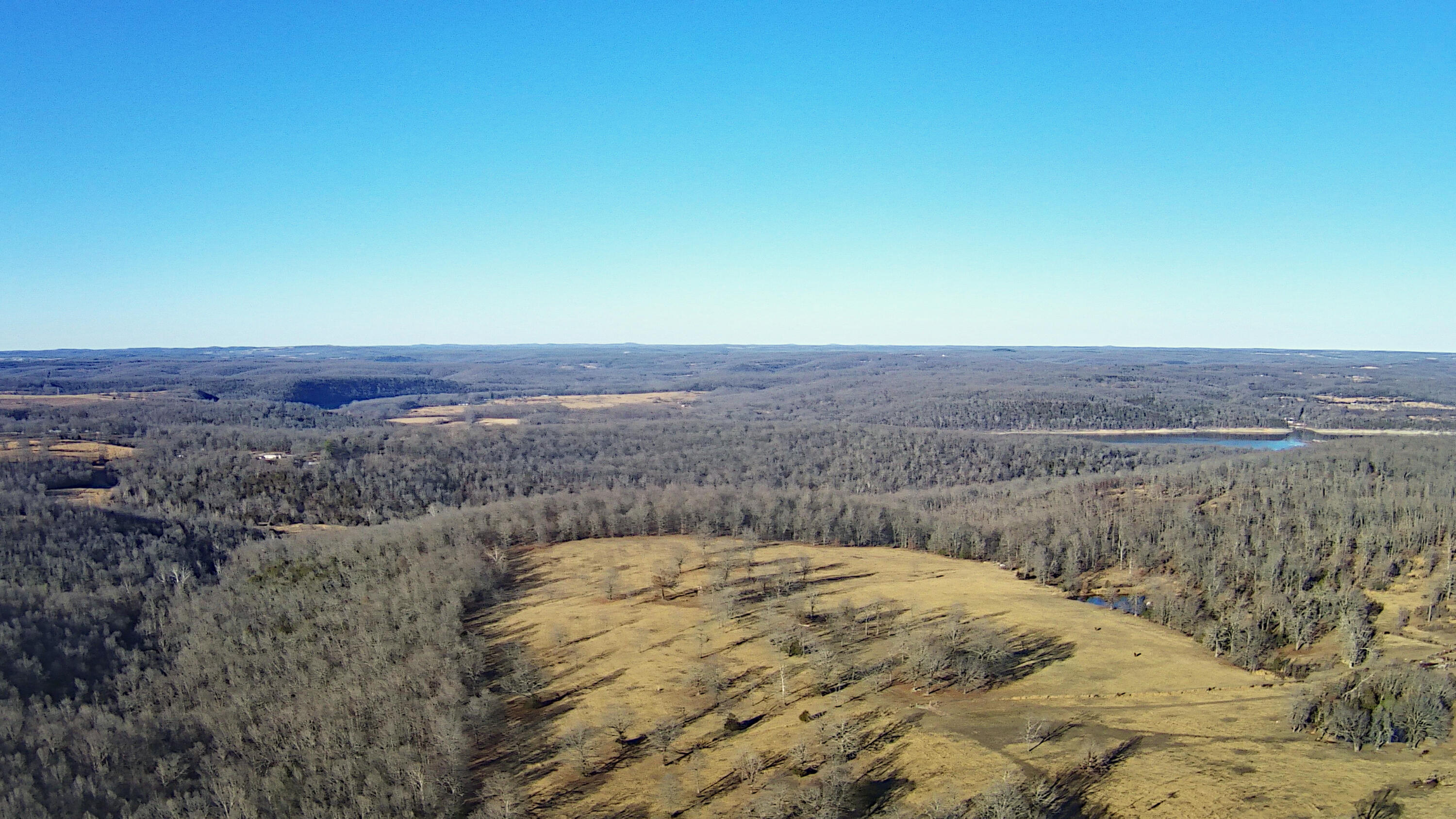 Tbd County Road 553a Property Photo 3