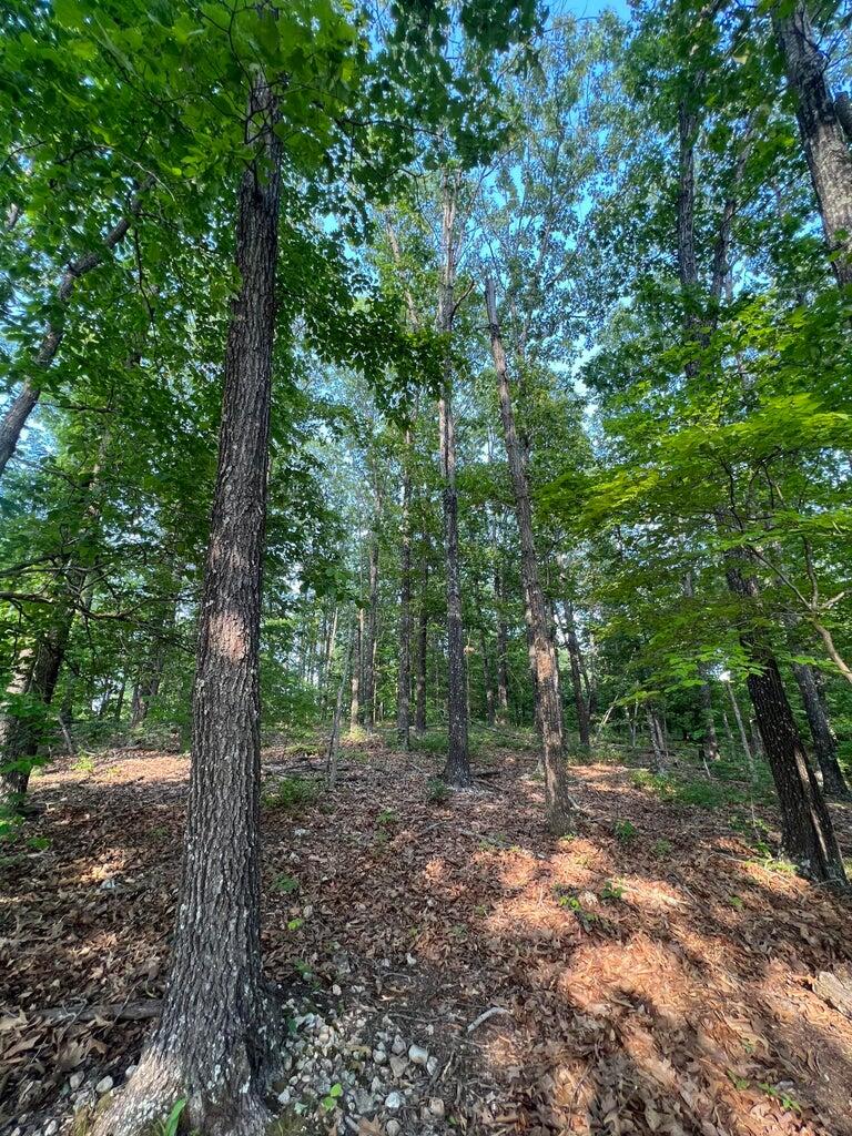 Tbd County Road 553a Property Photo 9