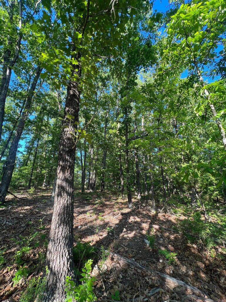 Tbd County Road 553a Property Photo 10