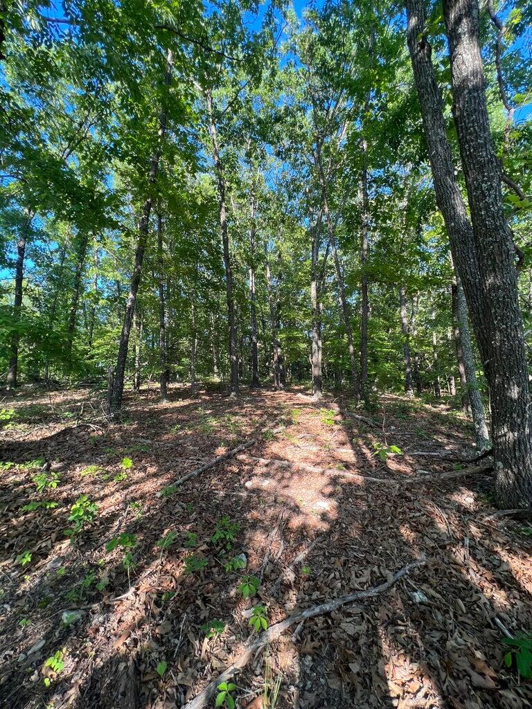 Tbd County Road 553a Property Photo 11